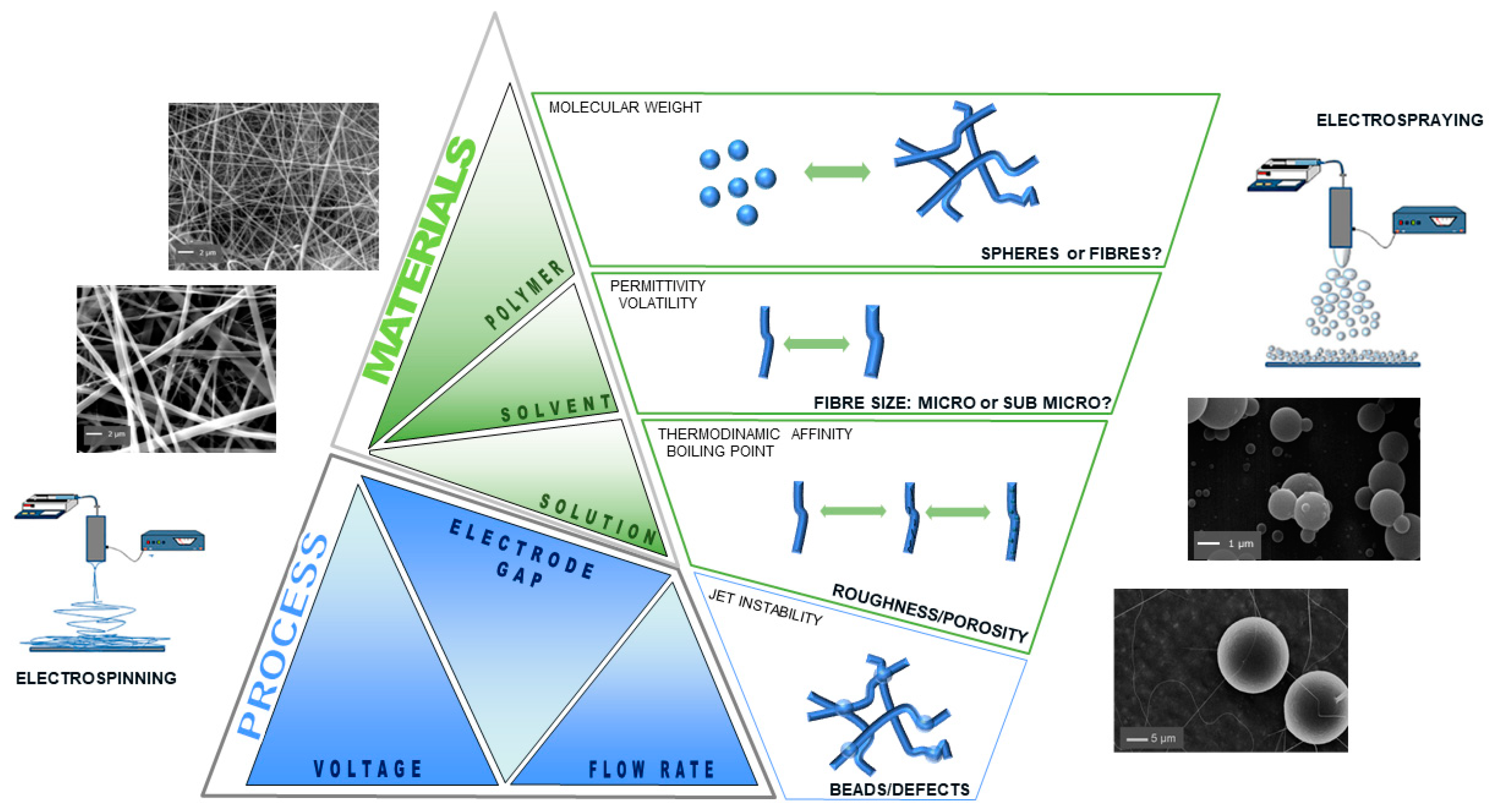 Pharmaceutics 16 00134 g003