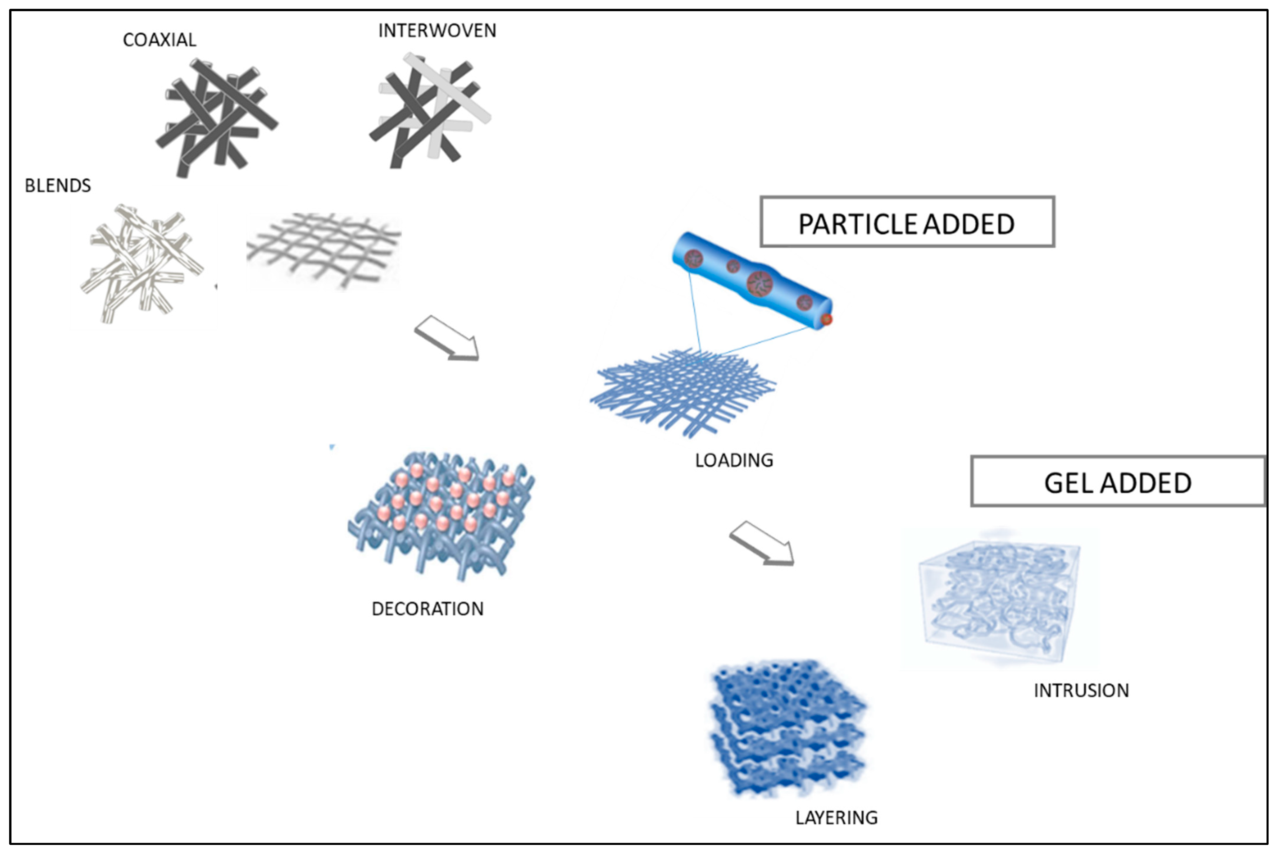 Pharmaceutics 16 00134 g004