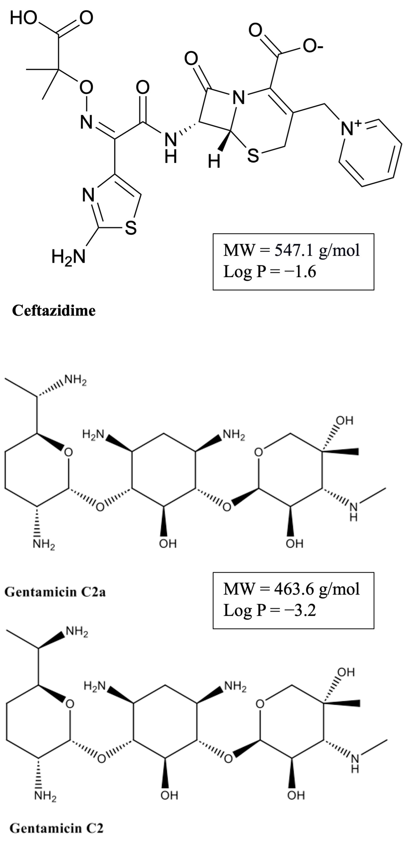 Pharmaceutics 16 00135 g001