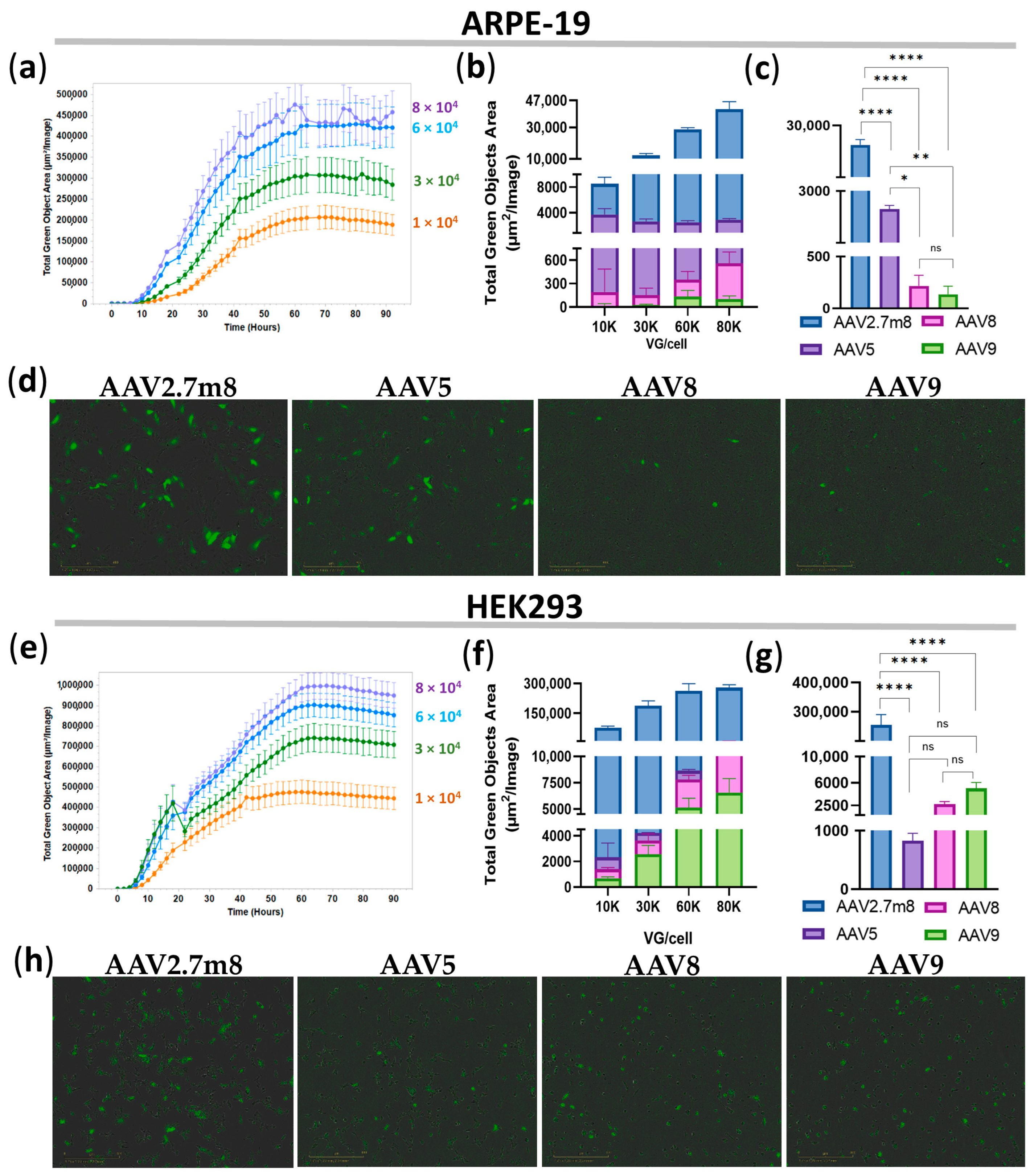 Pharmaceutics 16 00138 g001