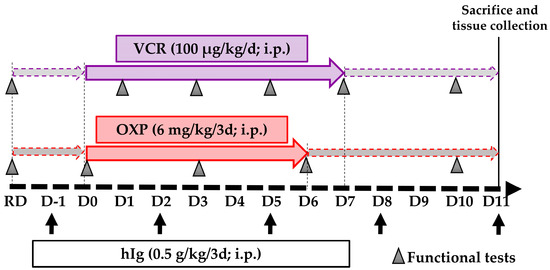 Pharmaceutics 16 00139 g001