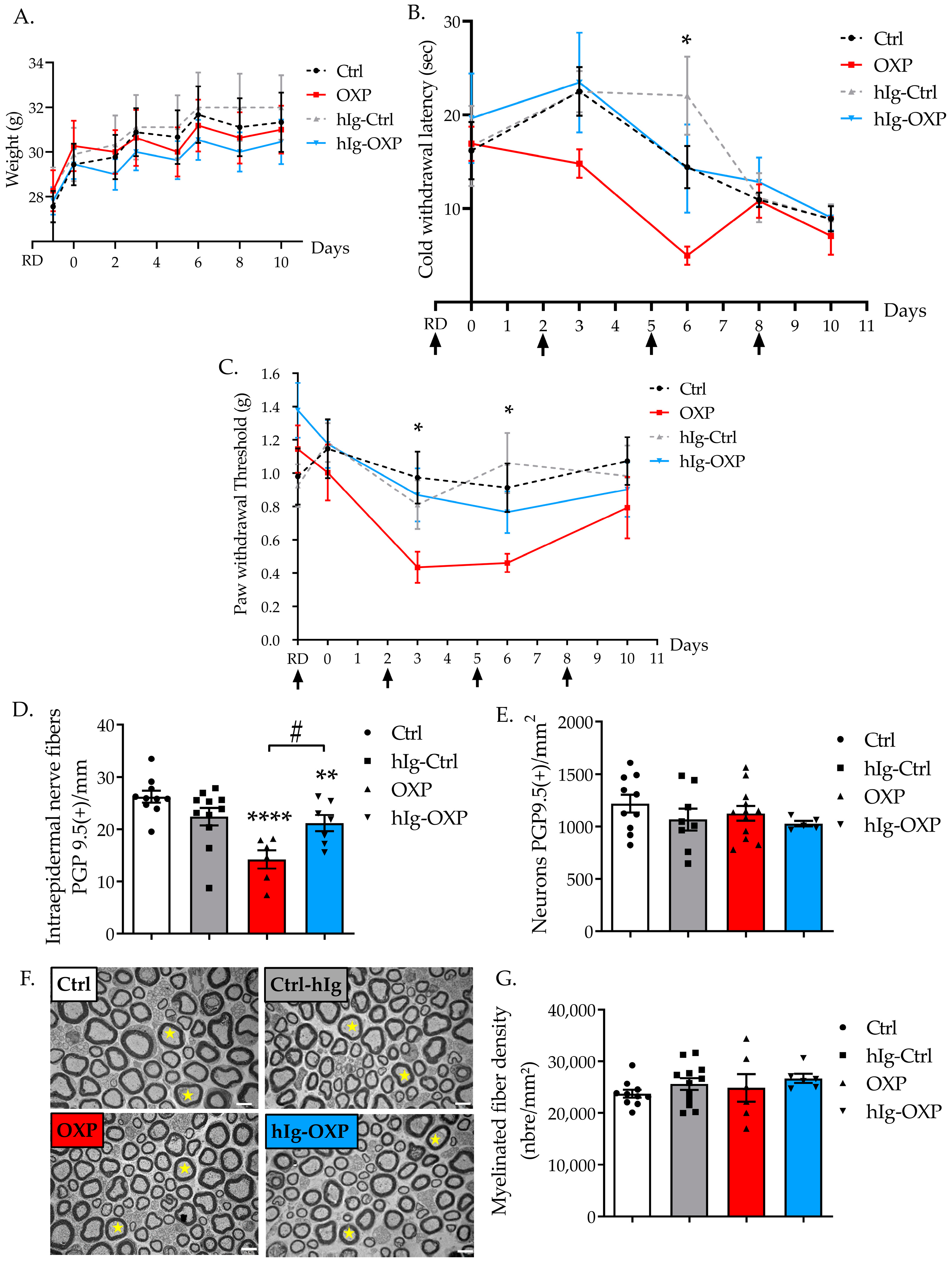 Pharmaceutics 16 00139 g003