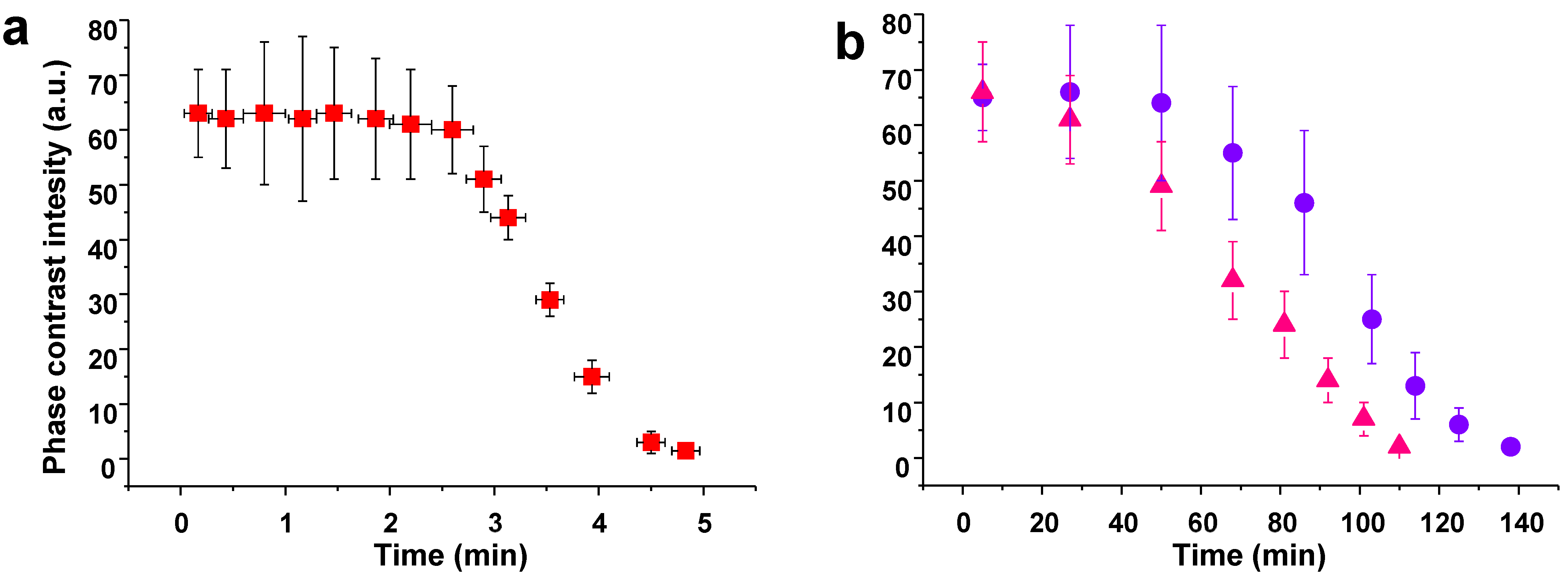 Pharmaceutics 16 00141 g003