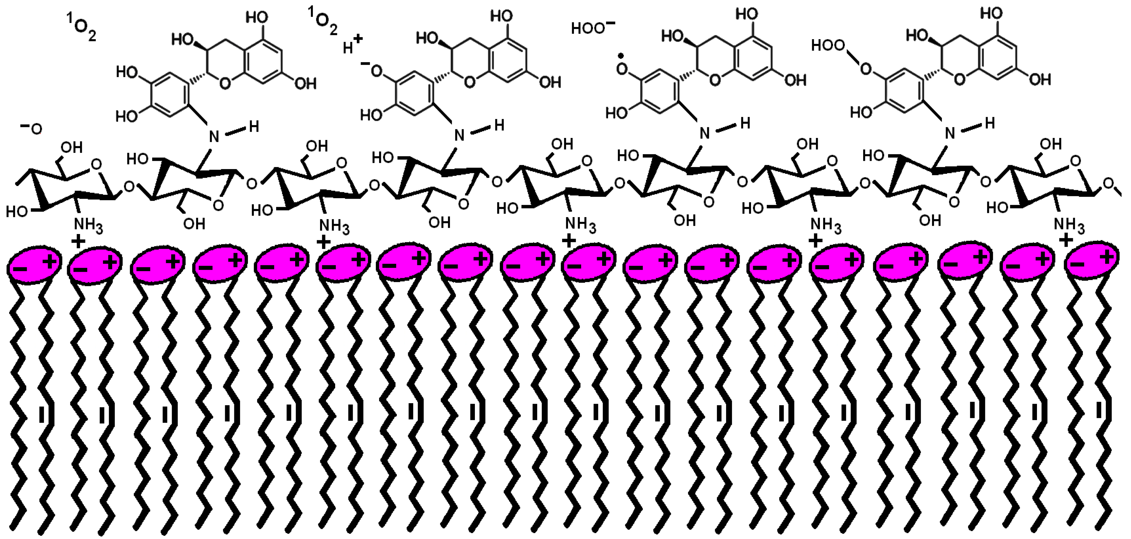 Pharmaceutics 16 00141 sch001