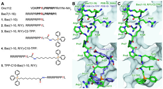 Pharmaceutics 16 00148 g001