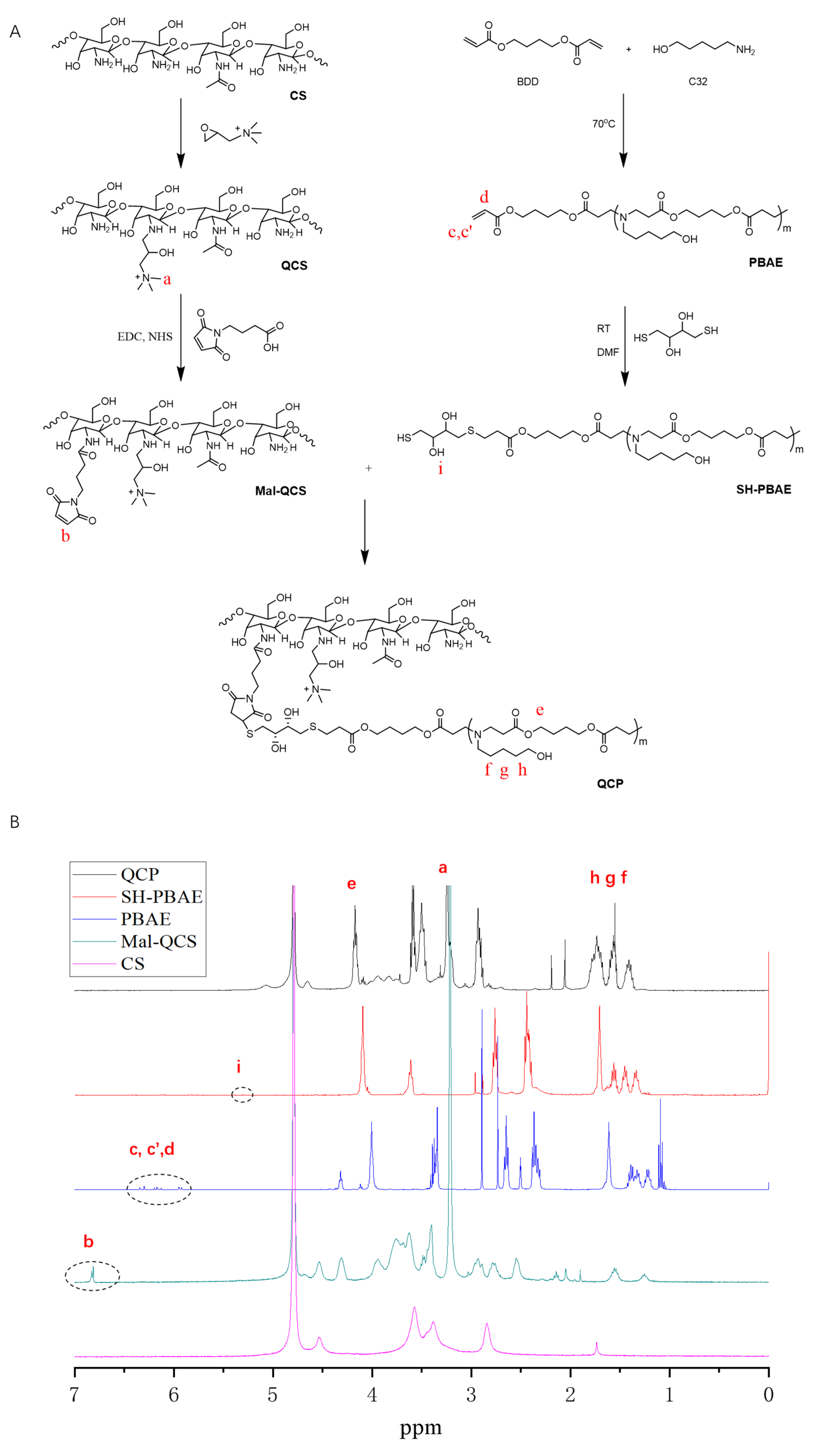 Pharmaceutics 16 00154 g001