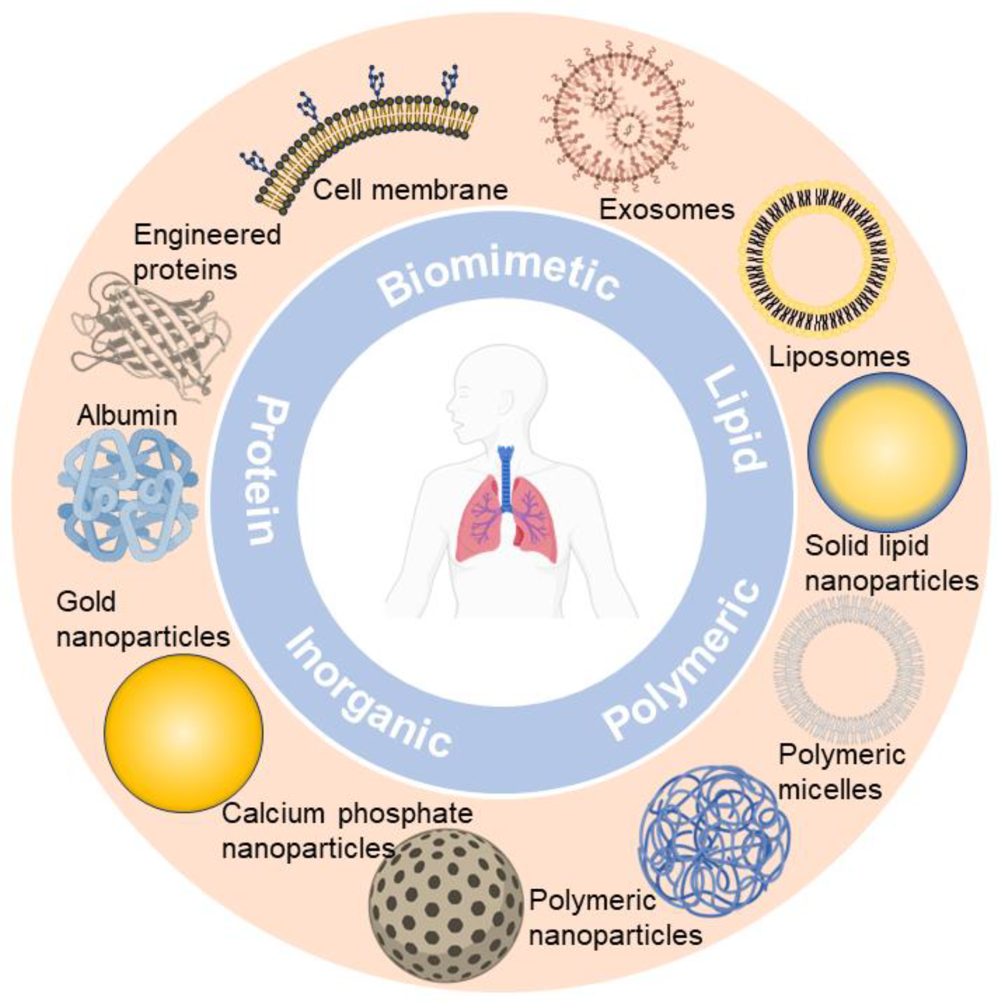 Pharmaceutics 16 00161 g001