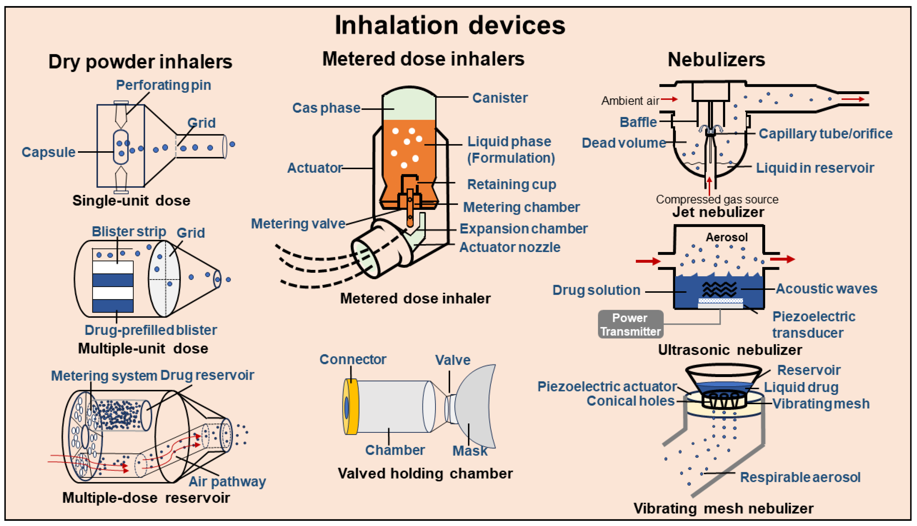 Pharmaceutics 16 00161 g003