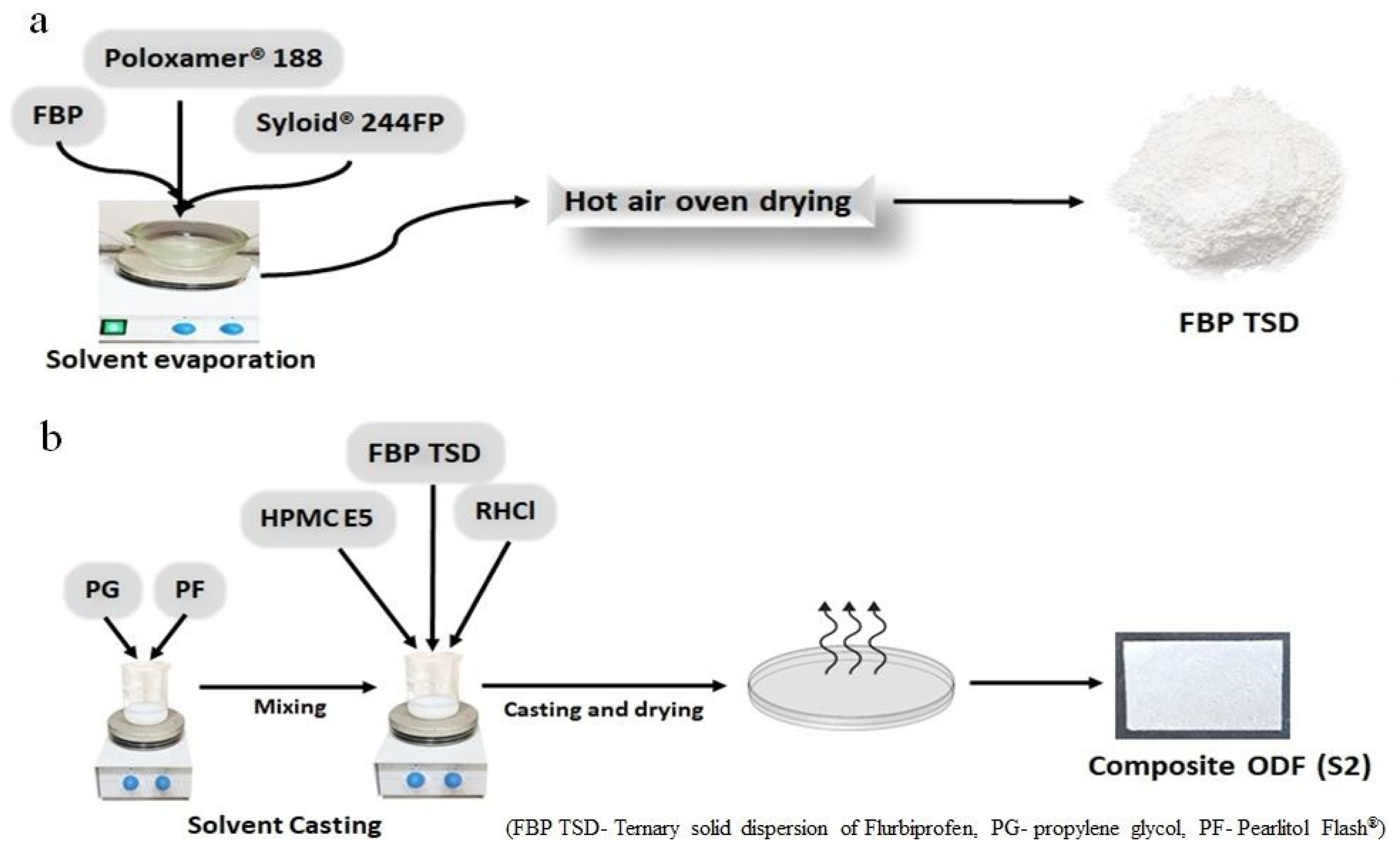 Pharmaceutics 16 00164 g001