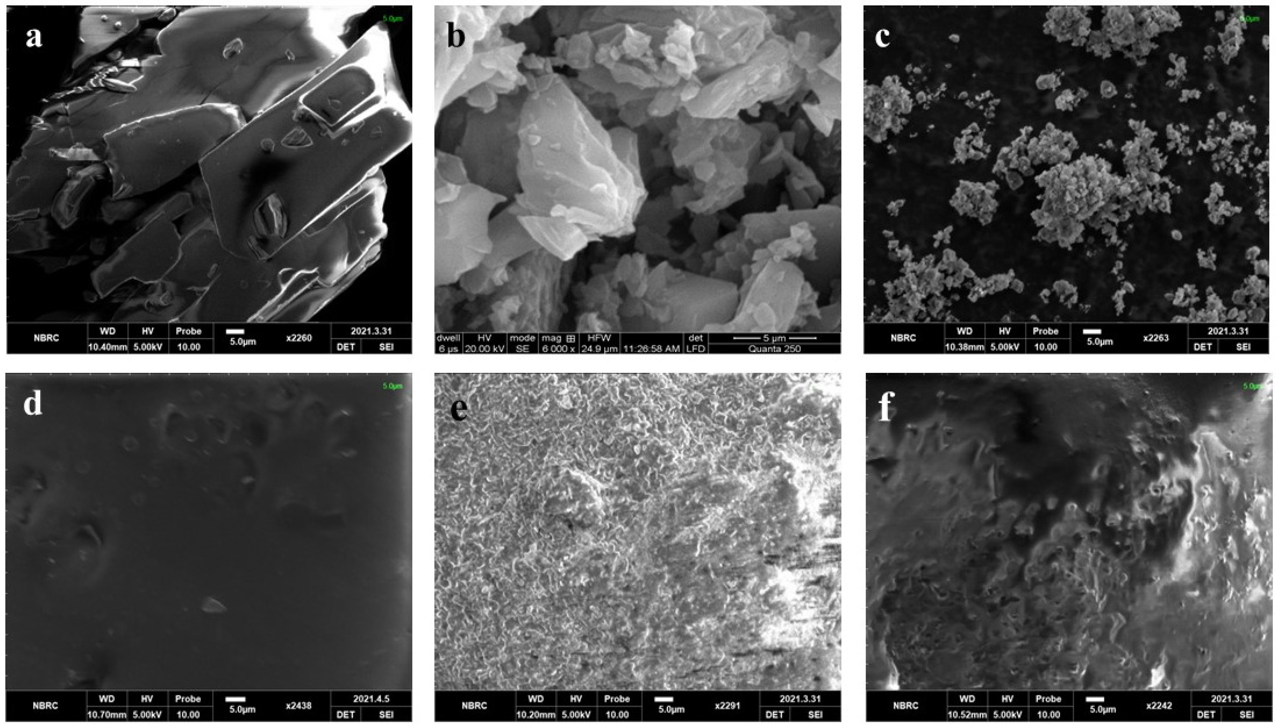 Pharmaceutics 16 00164 g003