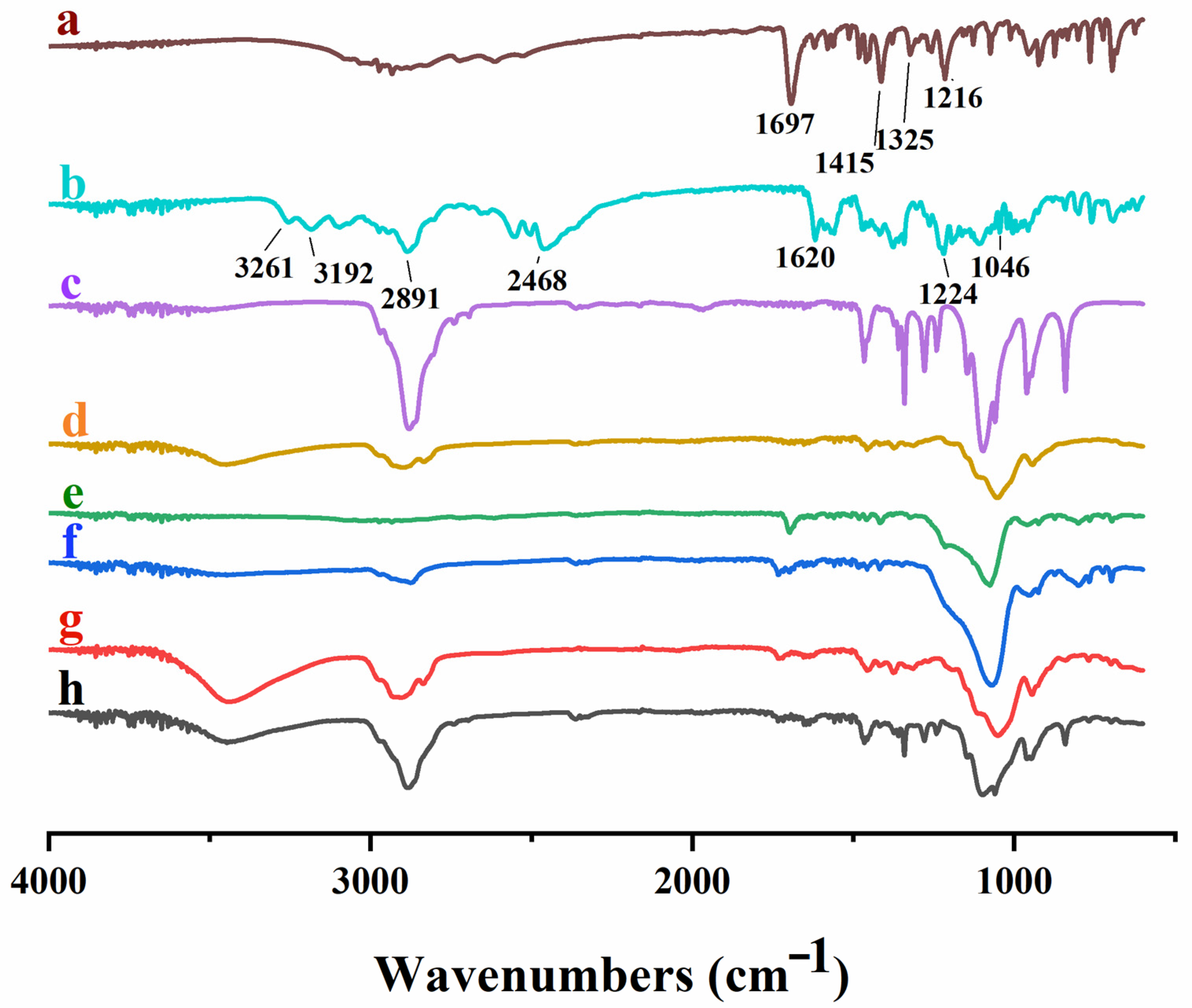 Pharmaceutics 16 00164 g004