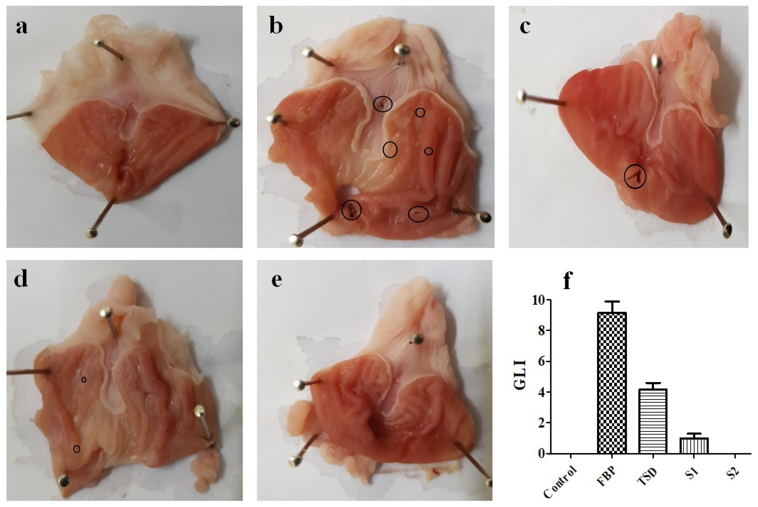 Pharmaceutics 16 00164 g012