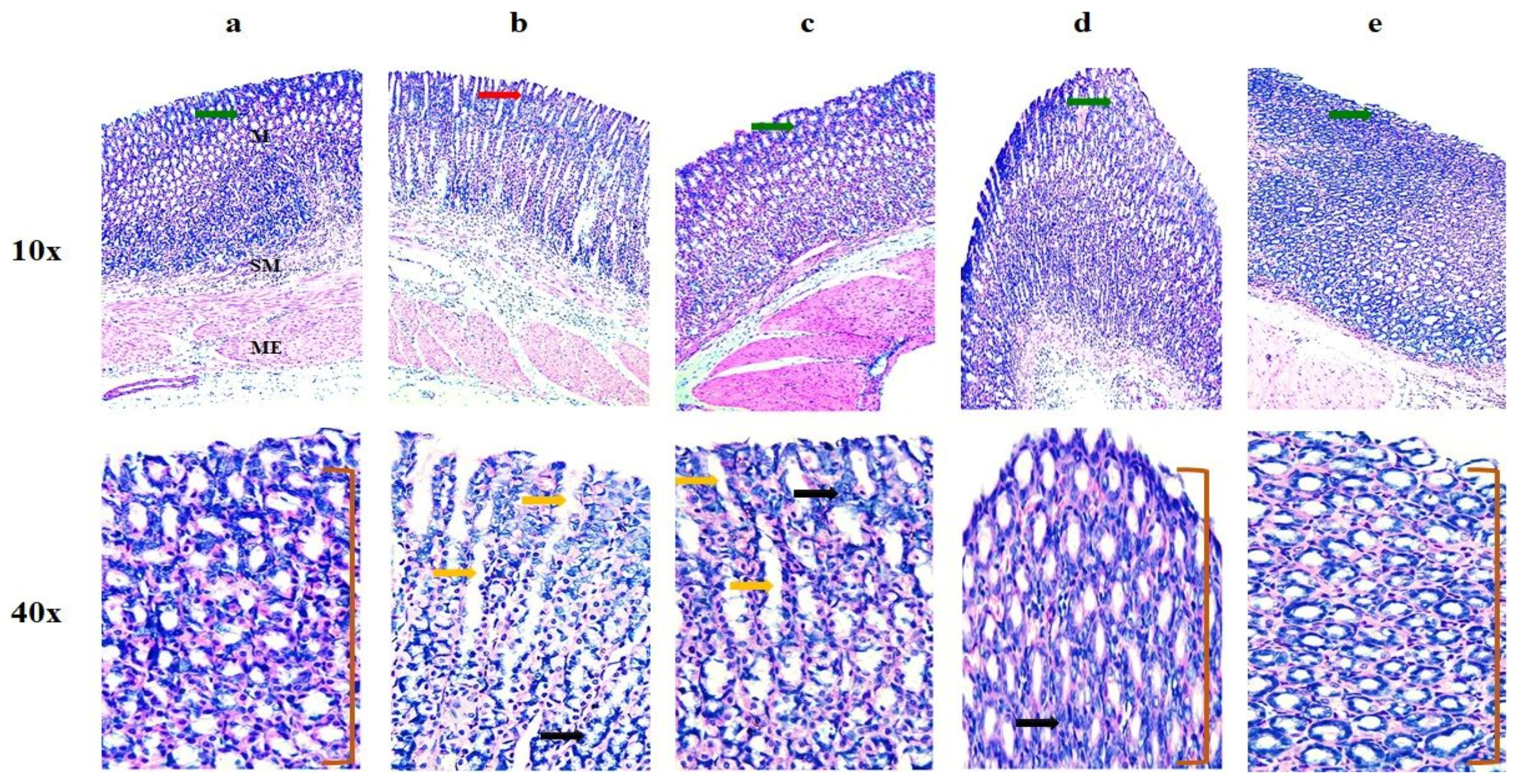 Pharmaceutics 16 00164 g013