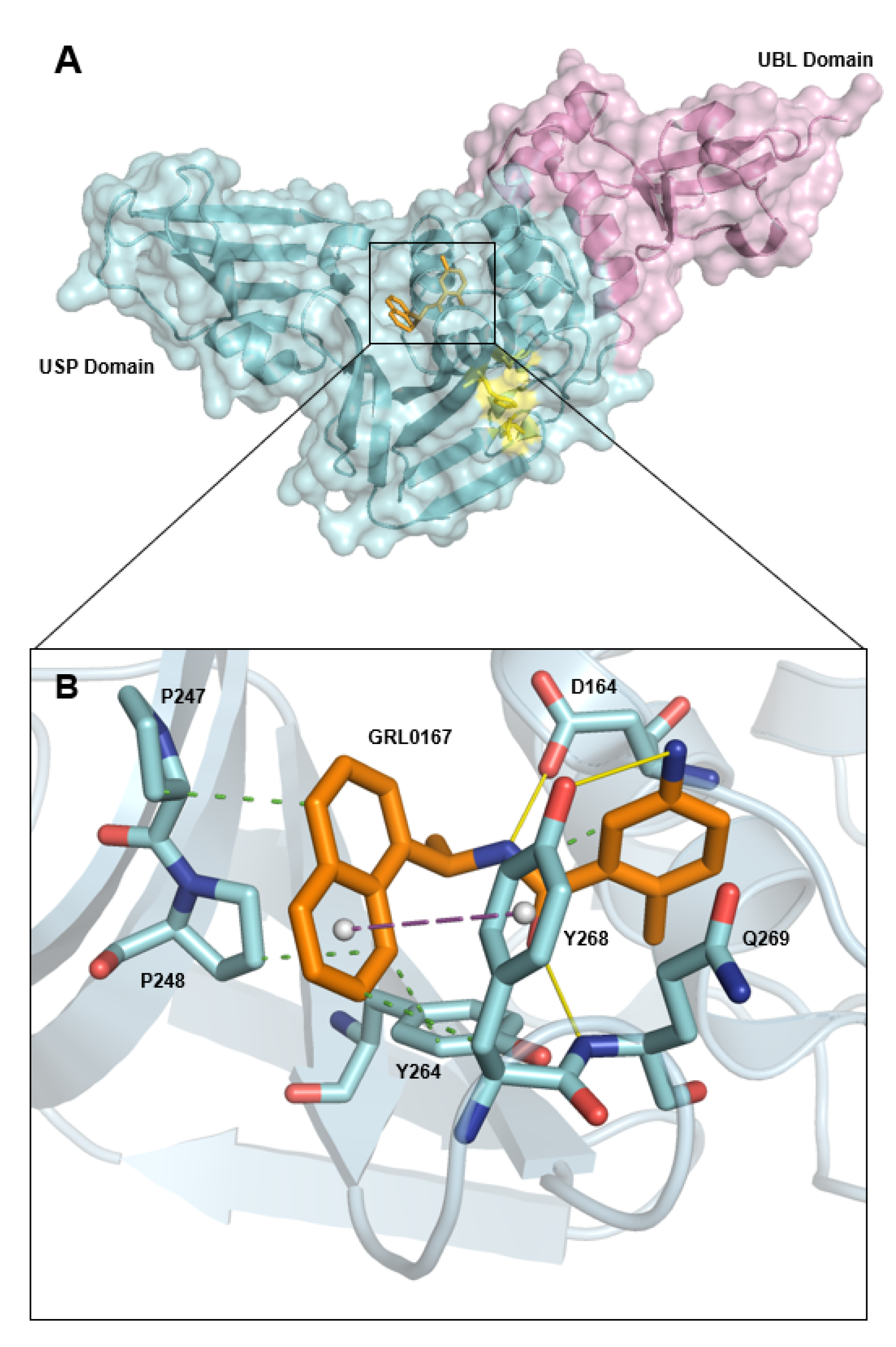 Pharmaceutics 16 00169 g001