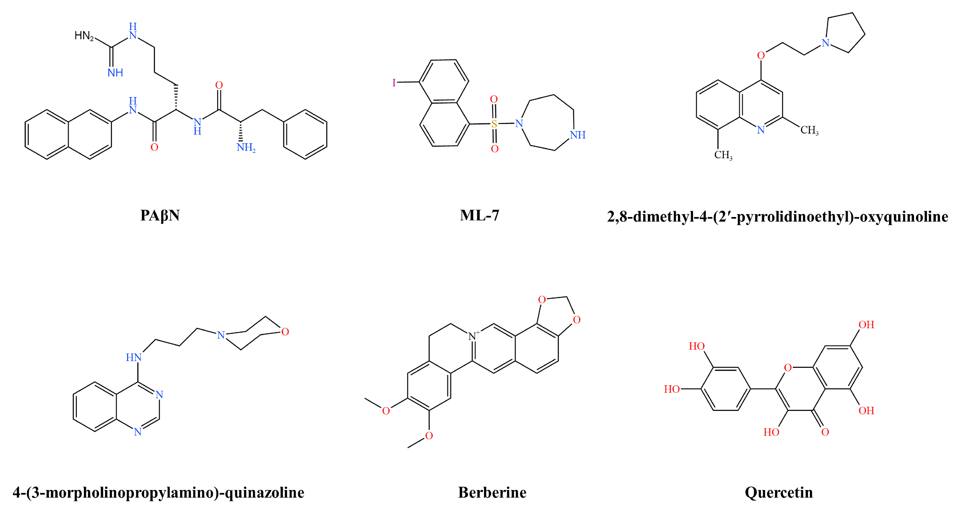 Pharmaceutics 16 00170 g003