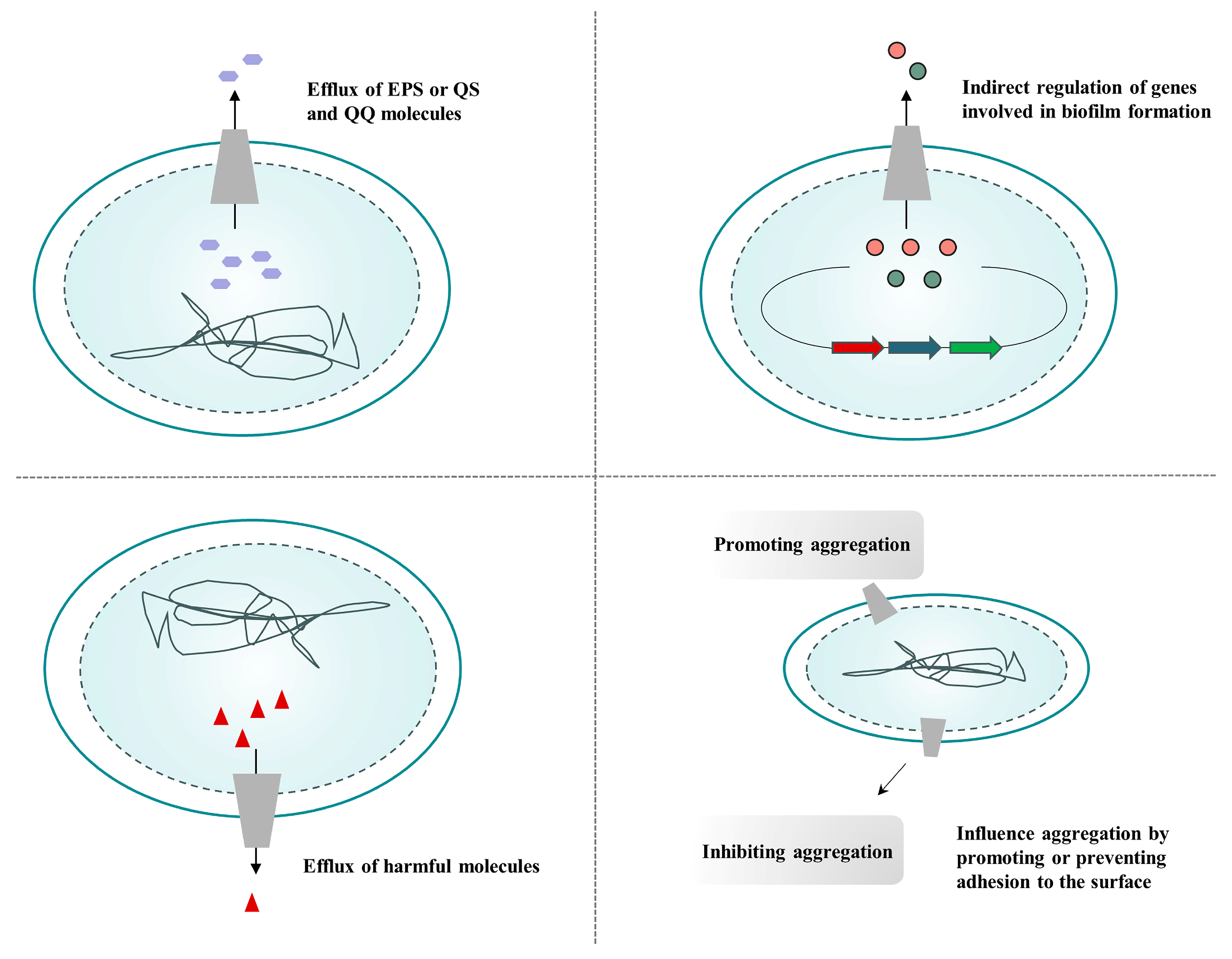 Pharmaceutics 16 00170 g007