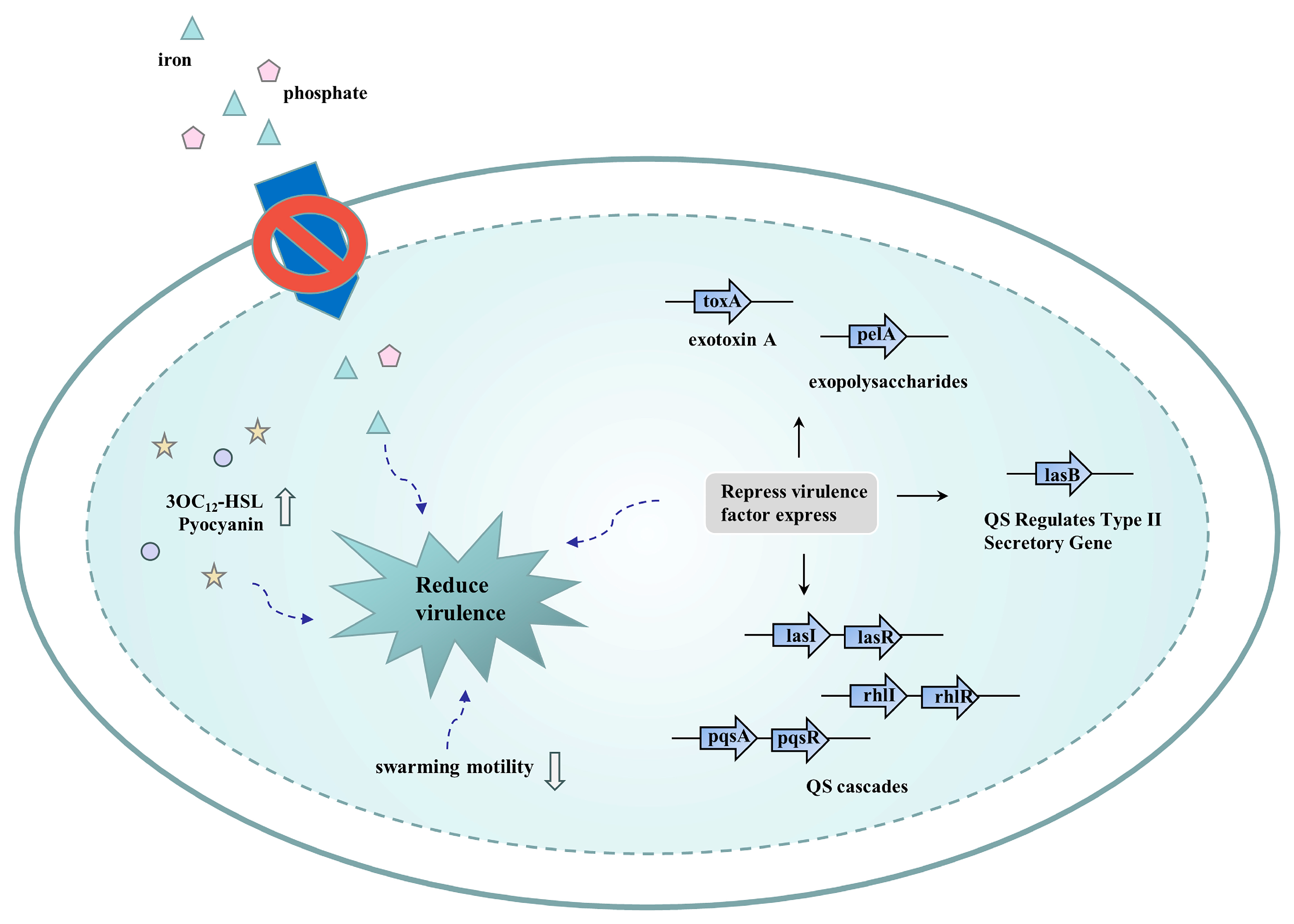 Pharmaceutics 16 00170 g008