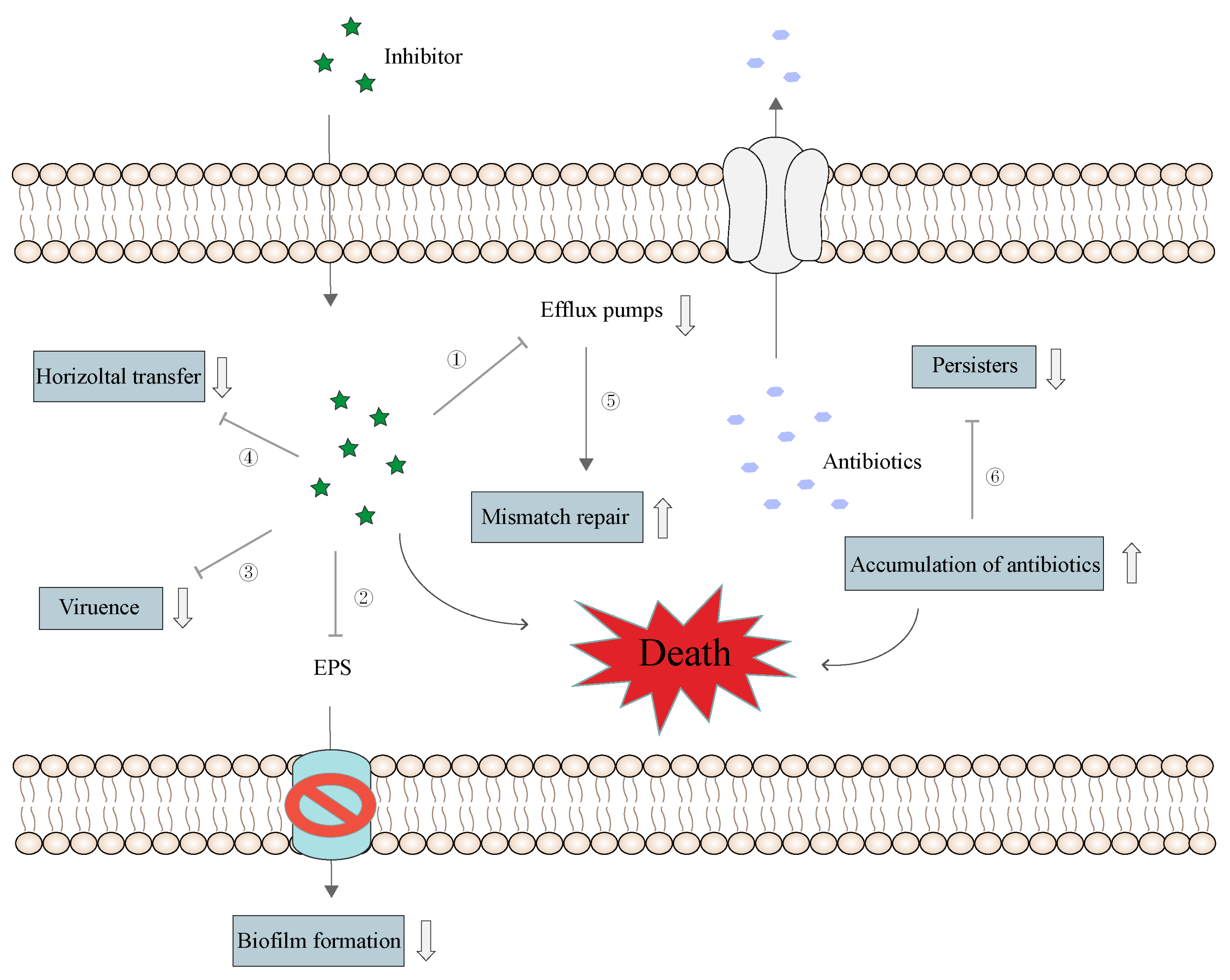 Pharmaceutics 16 00170 g009
