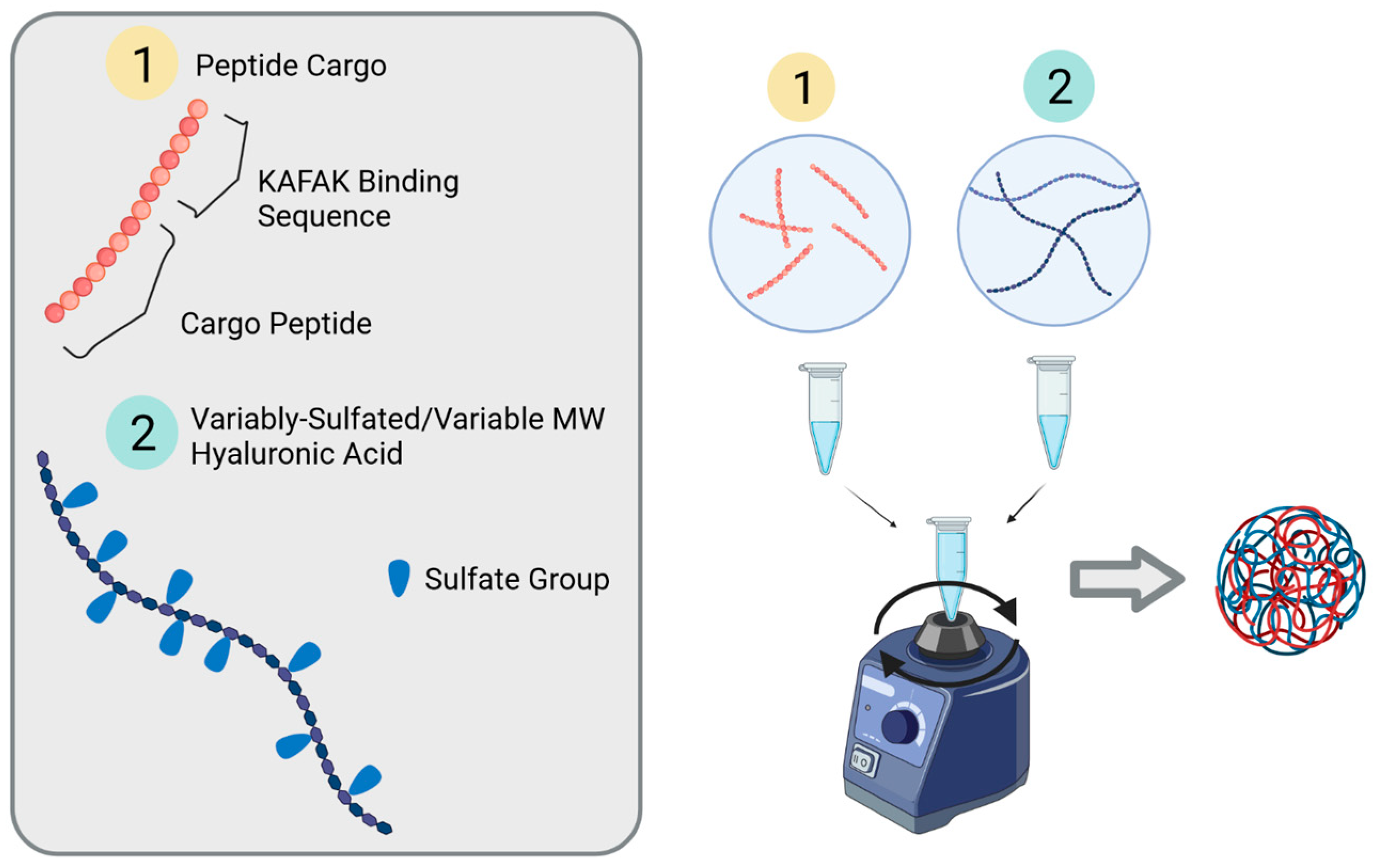 Pharmaceutics 16 00173 g002