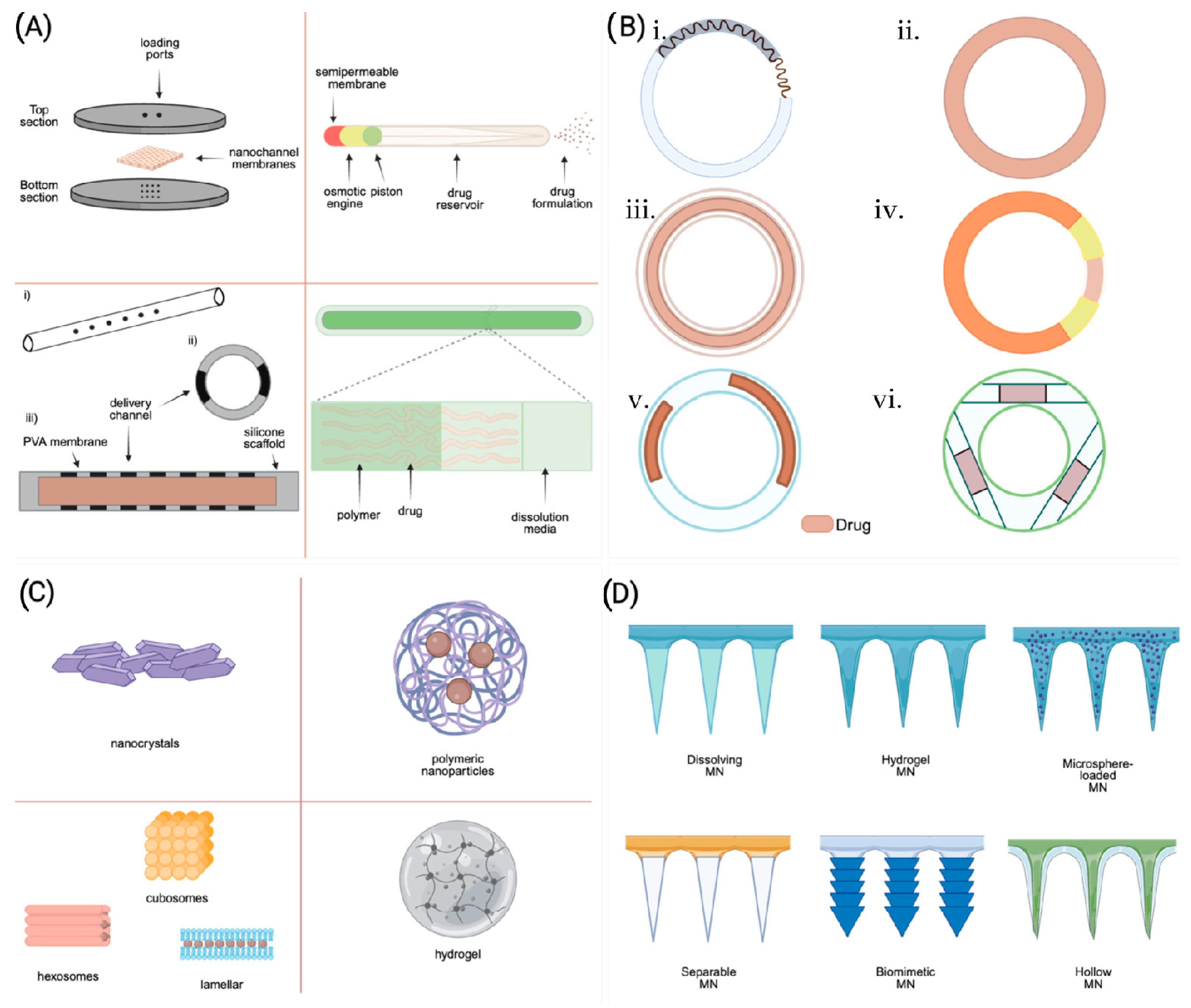 Pharmaceutics 16 00183 g003