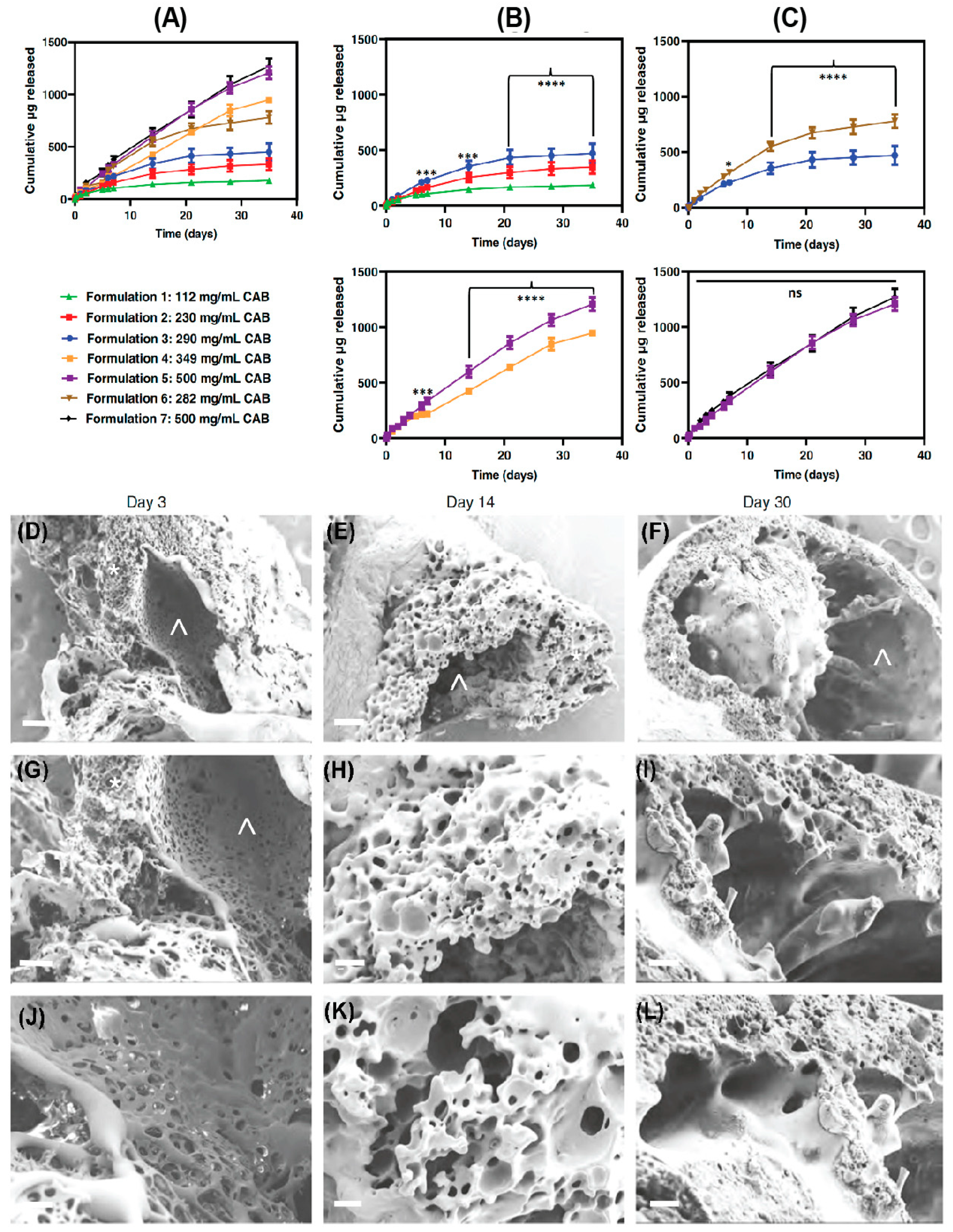 Pharmaceutics 16 00183 g005