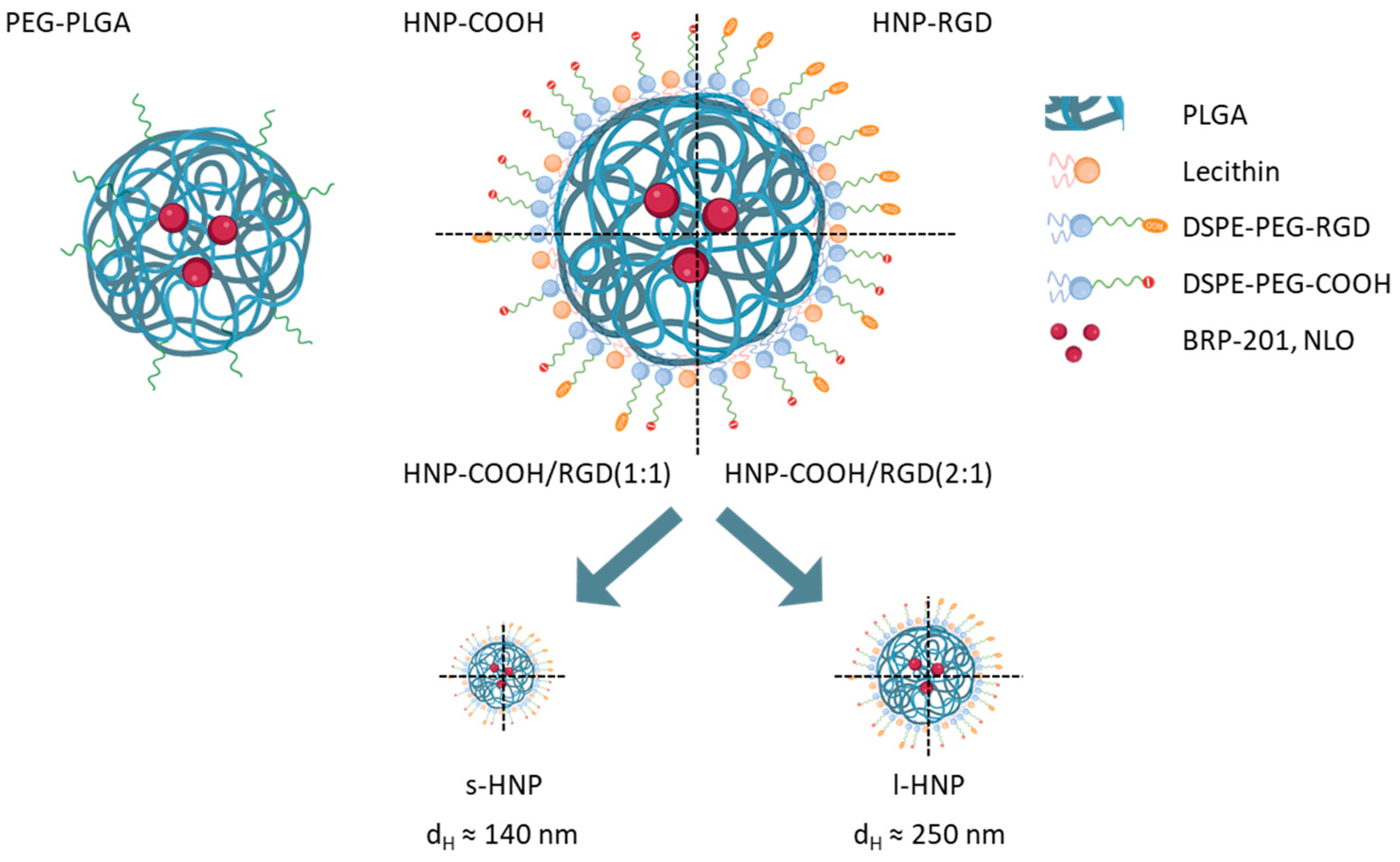 Pharmaceutics 16 00187 g005