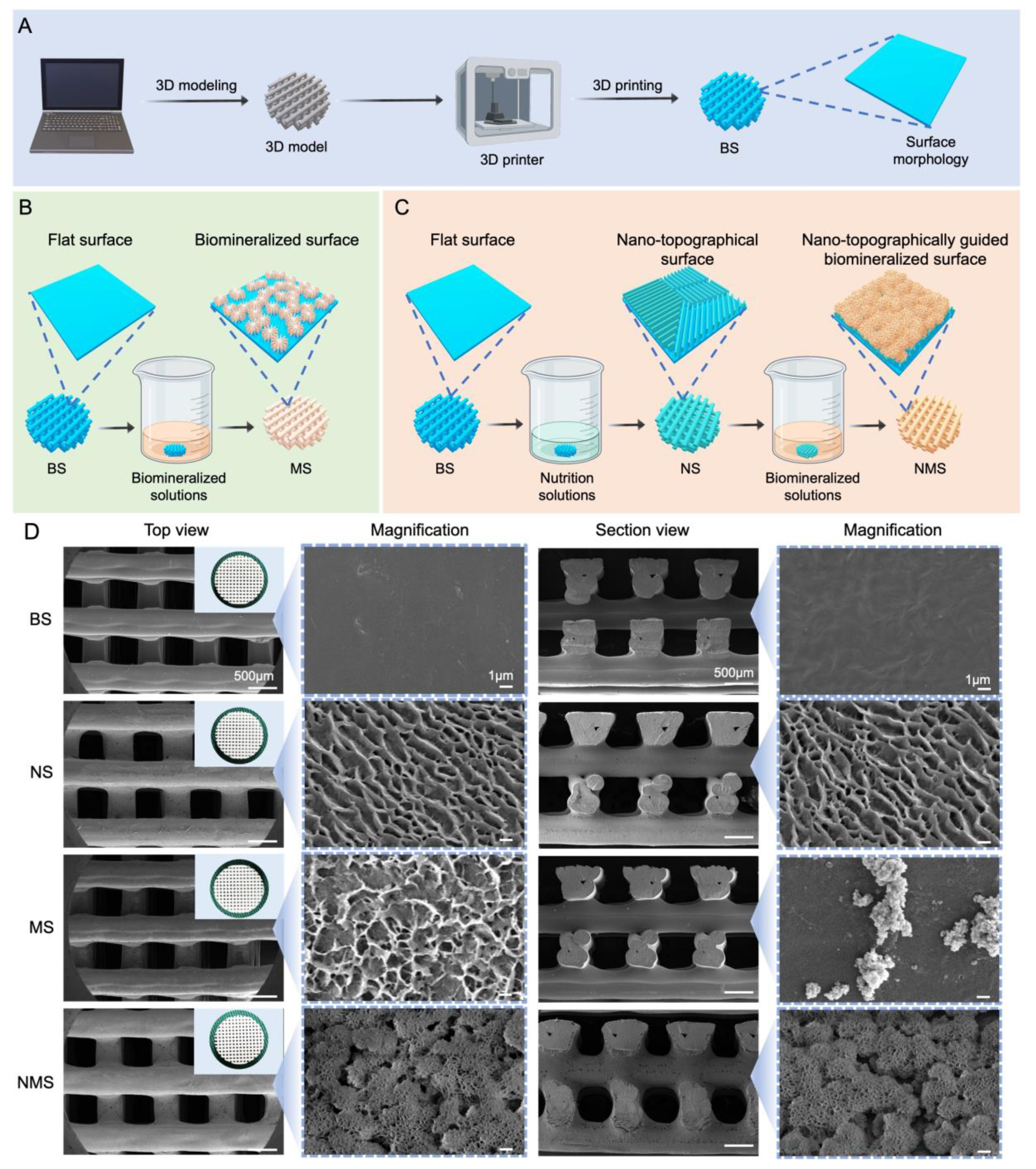 Pharmaceutics 16 00204 g001