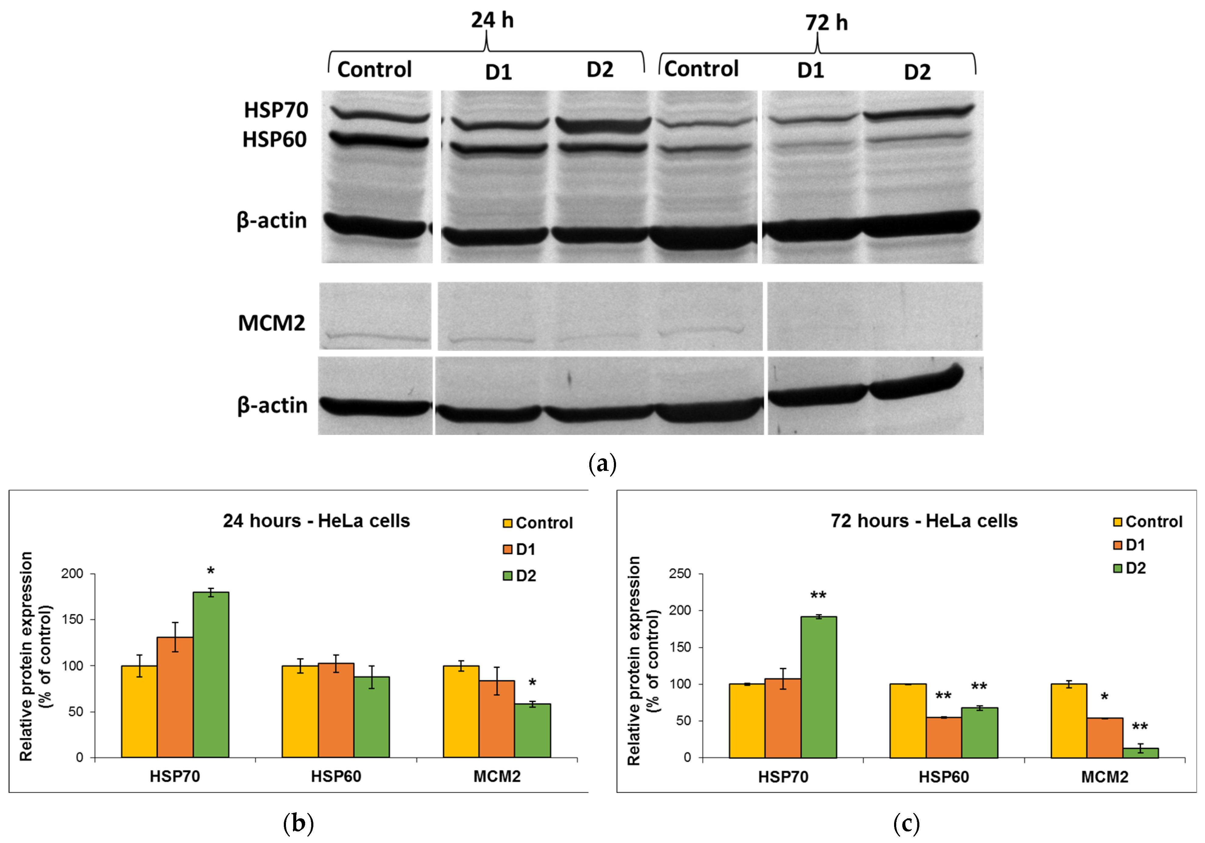 Pharmaceutics 16 00205 g008