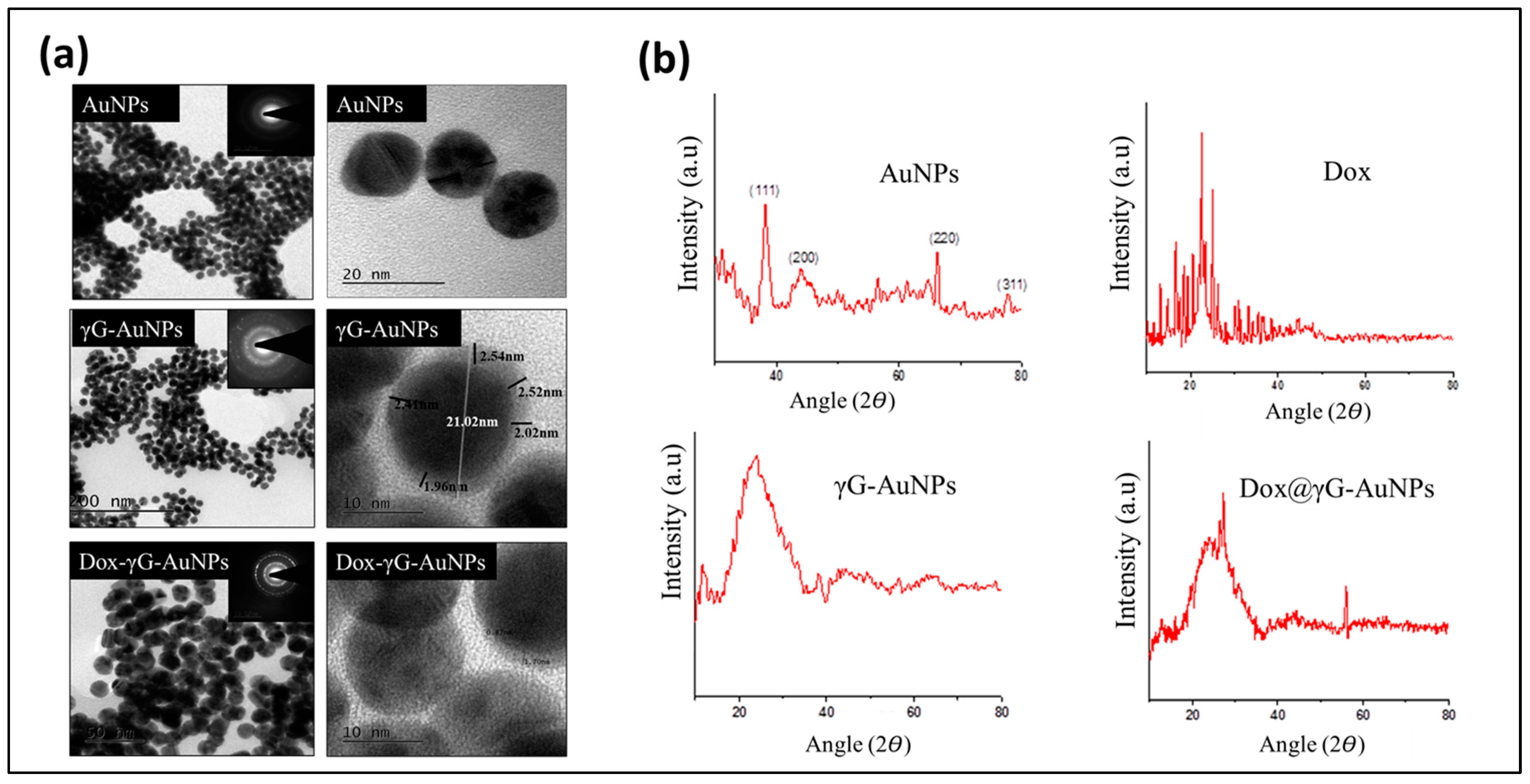 Pharmaceutics 16 00208 g002
