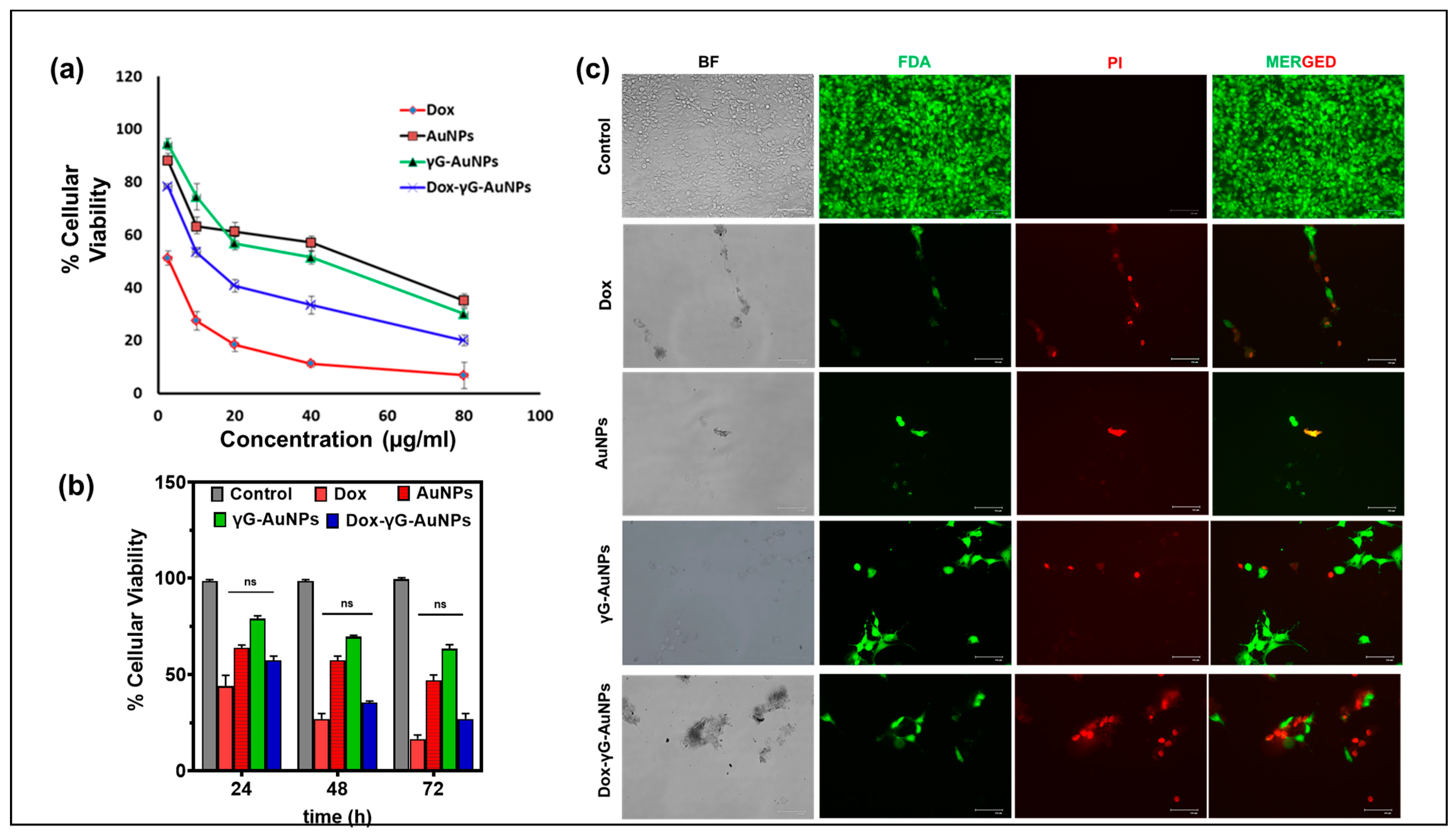 Pharmaceutics 16 00208 g005