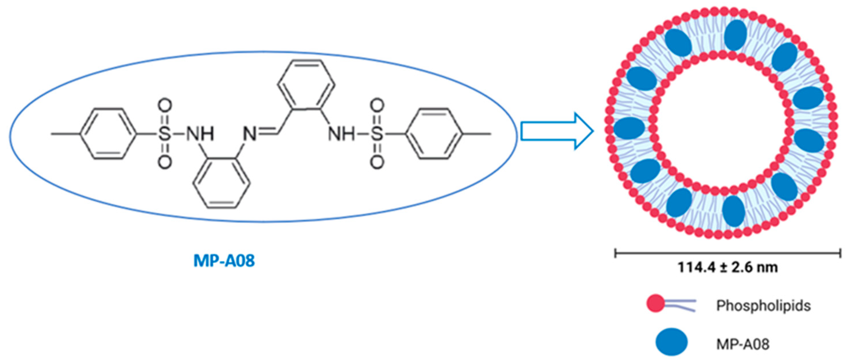 Pharmaceutics 16 00209 g001