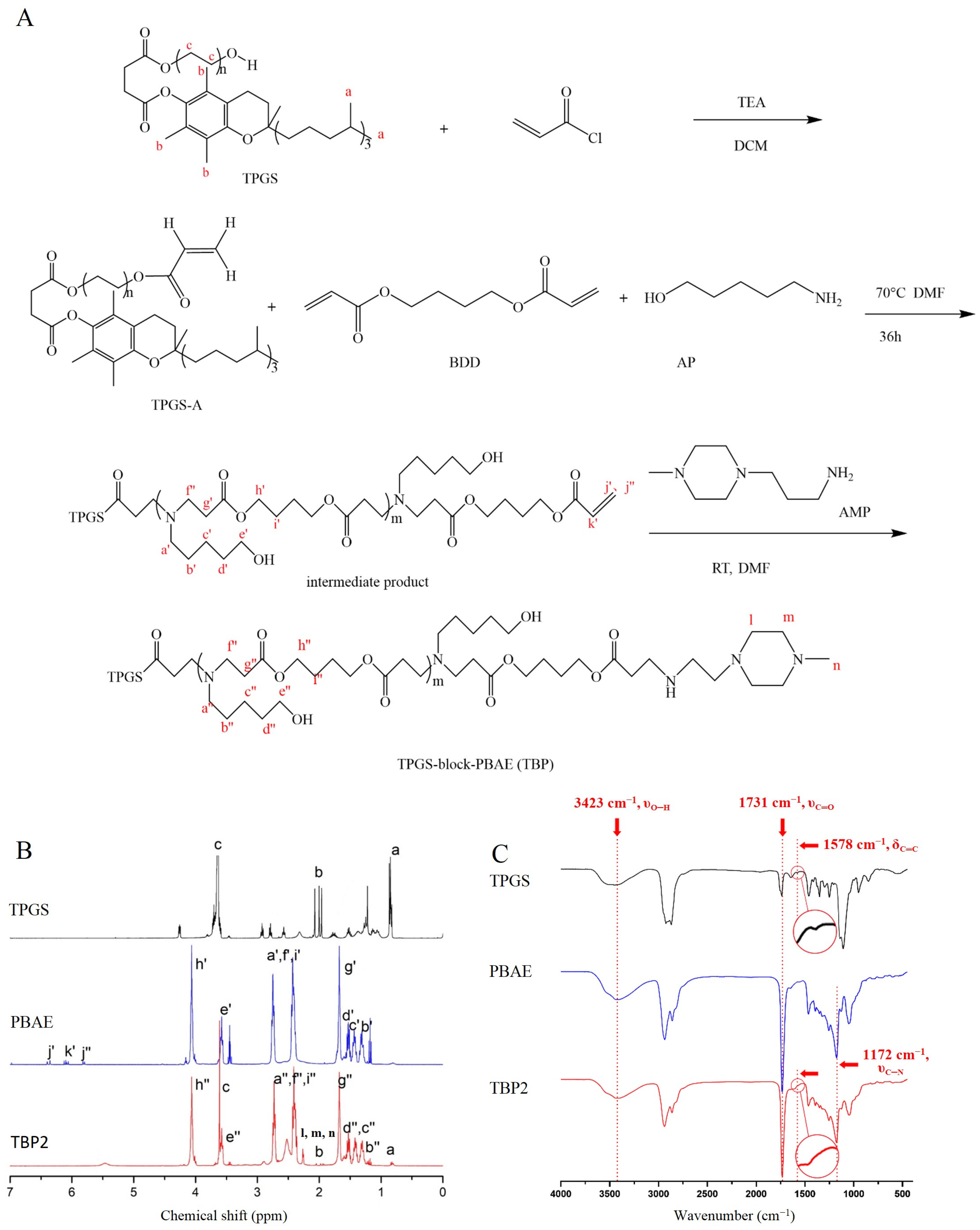 Pharmaceutics 16 00213 g001