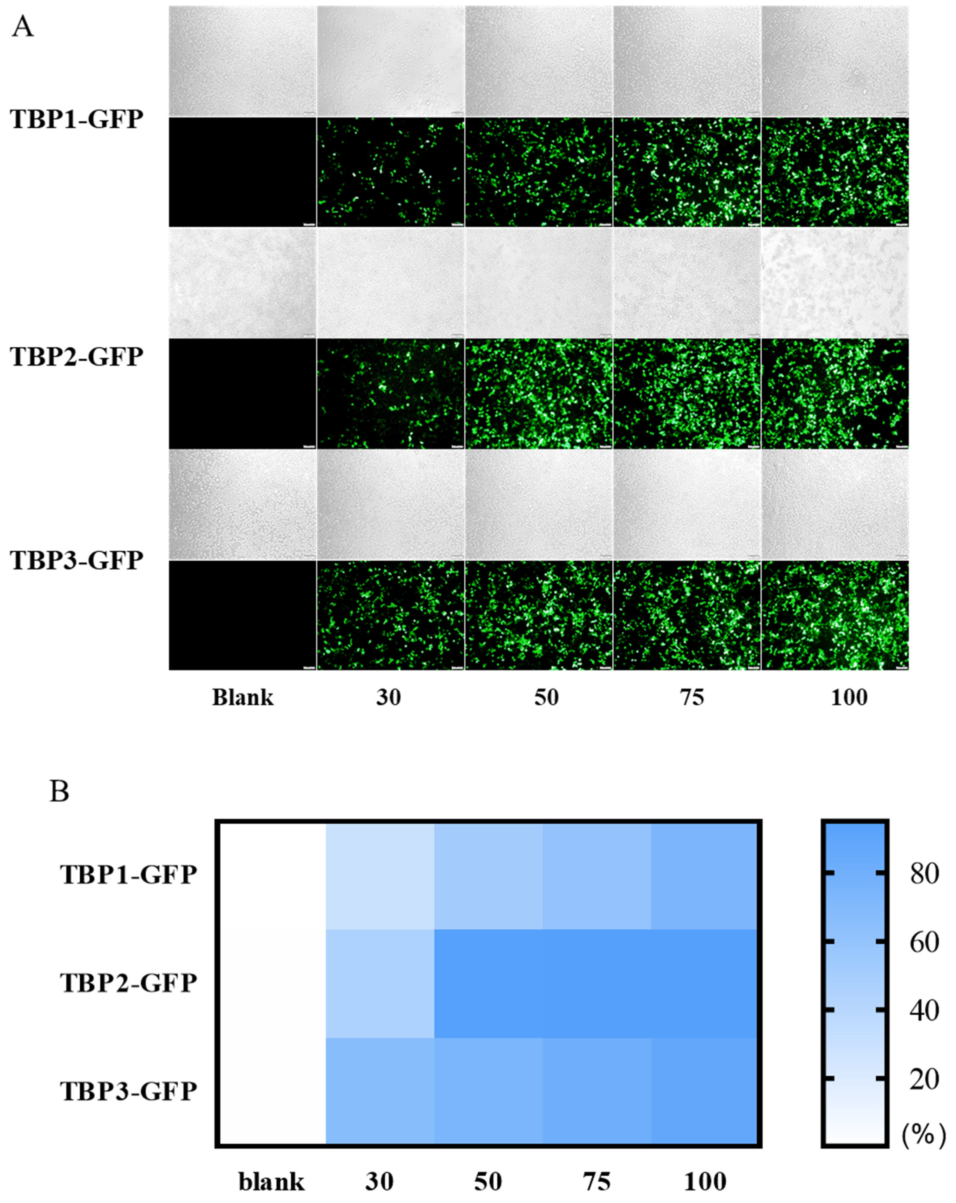Pharmaceutics 16 00213 g002