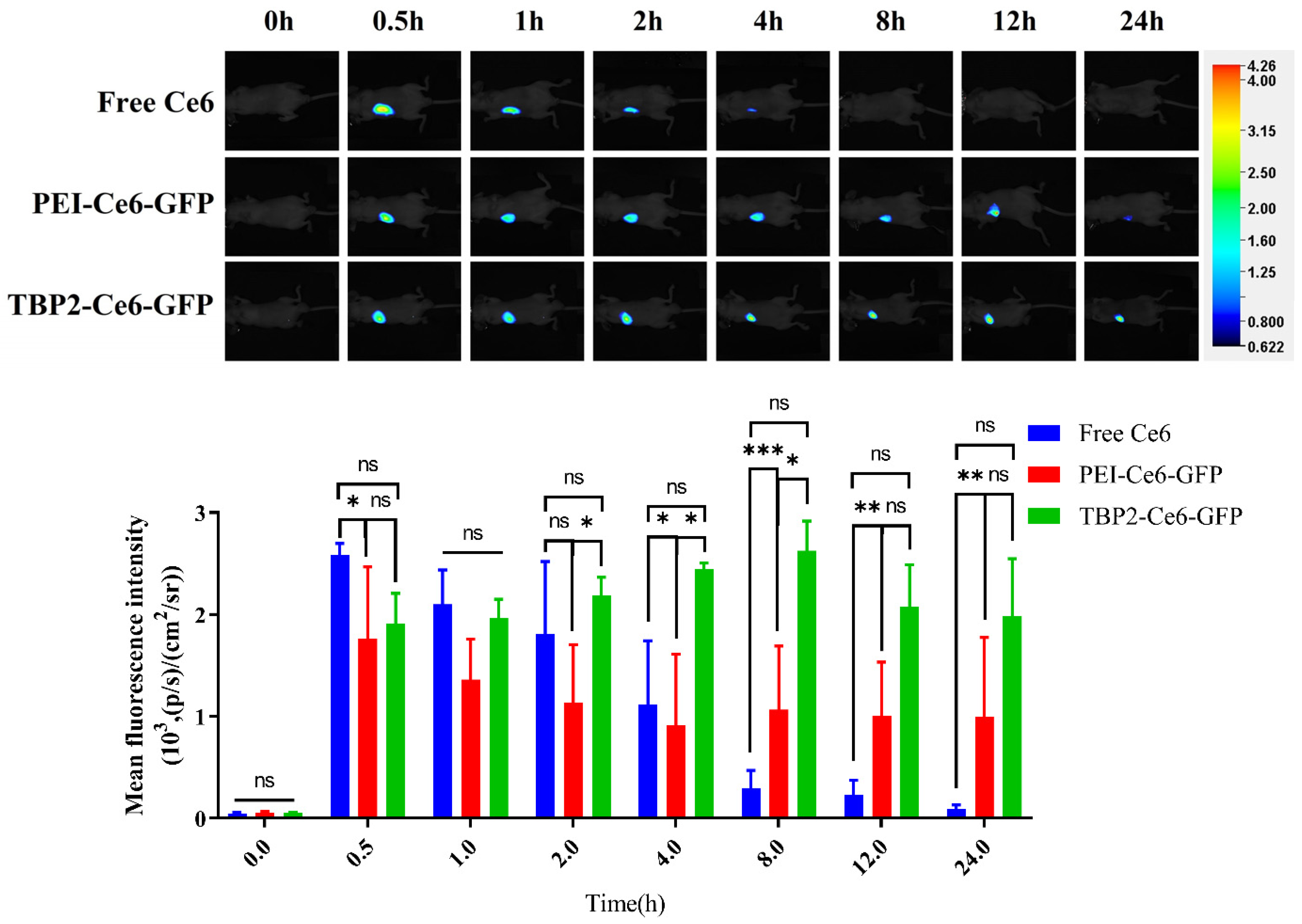 Pharmaceutics 16 00213 g007