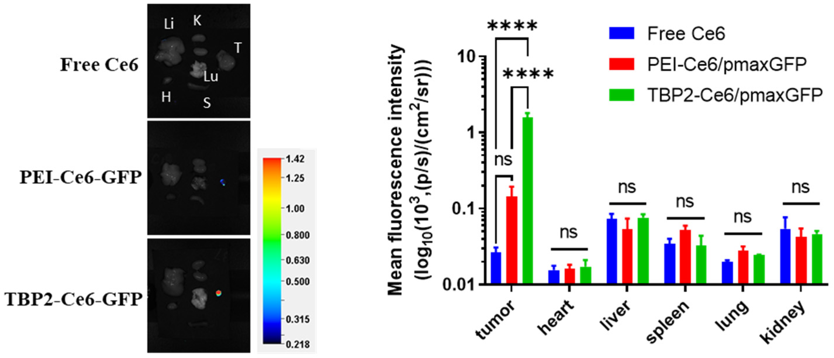 Pharmaceutics 16 00213 g008