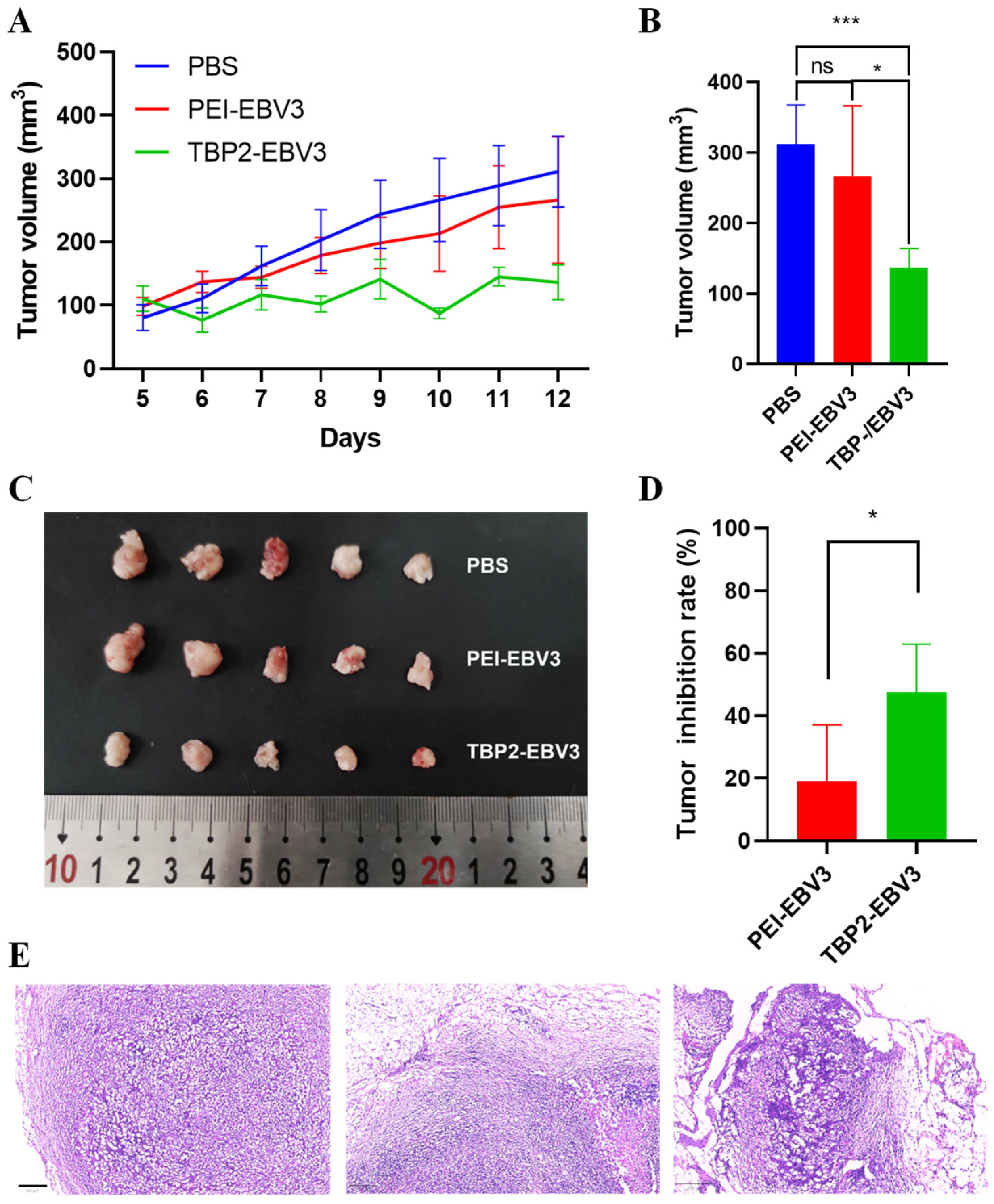 Pharmaceutics 16 00213 g009