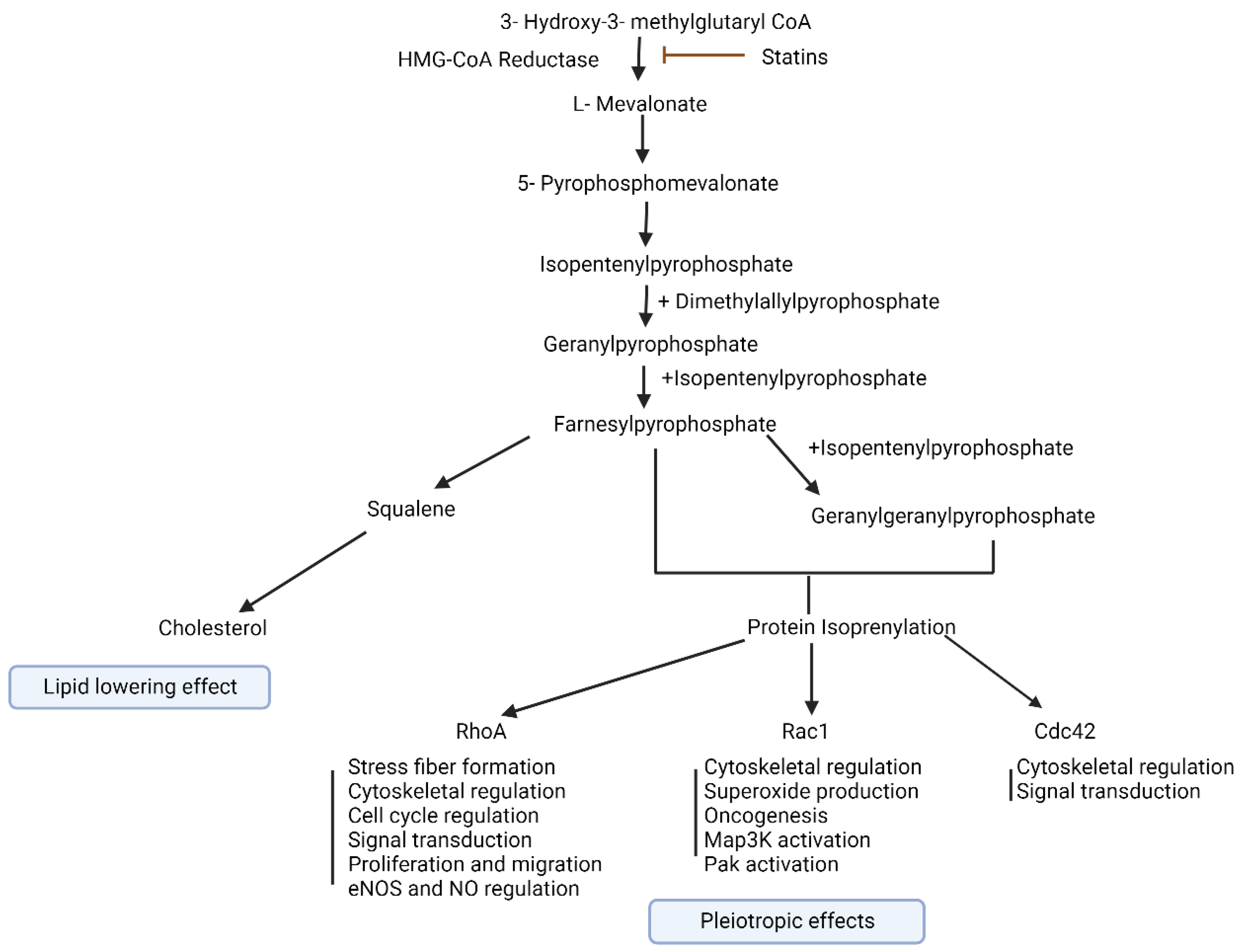 Pharmaceutics 16 00214 g001