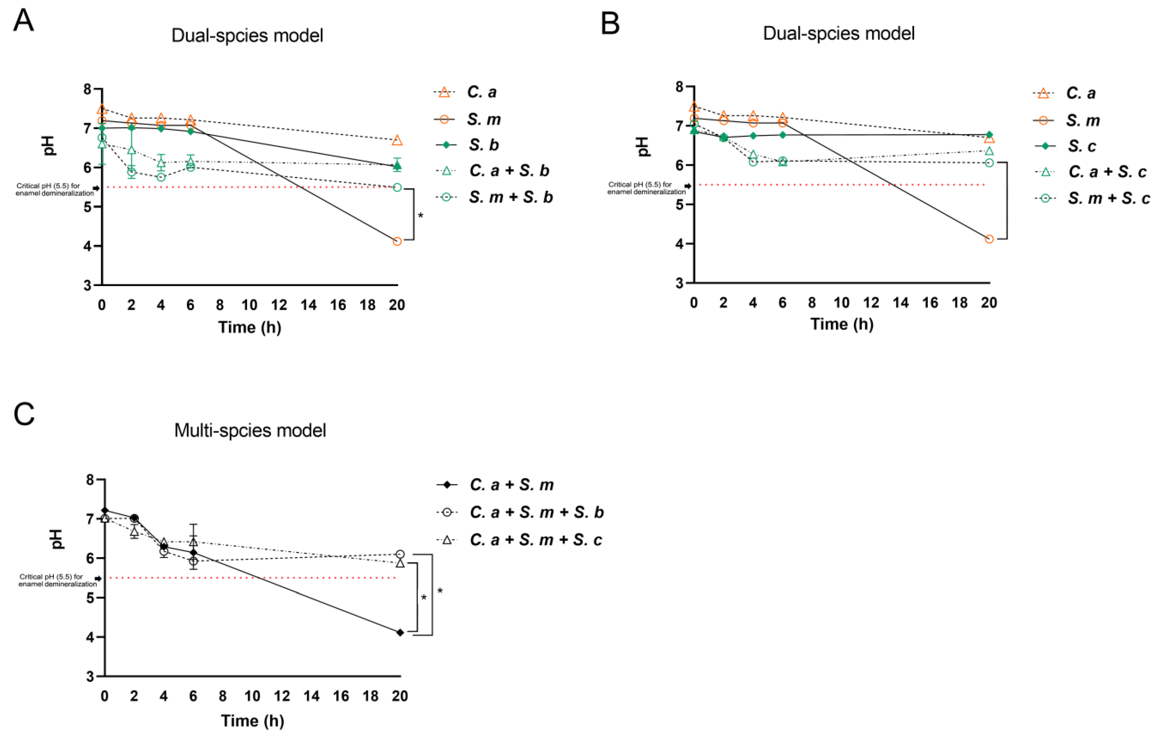 Pharmaceutics 16 00215 g005