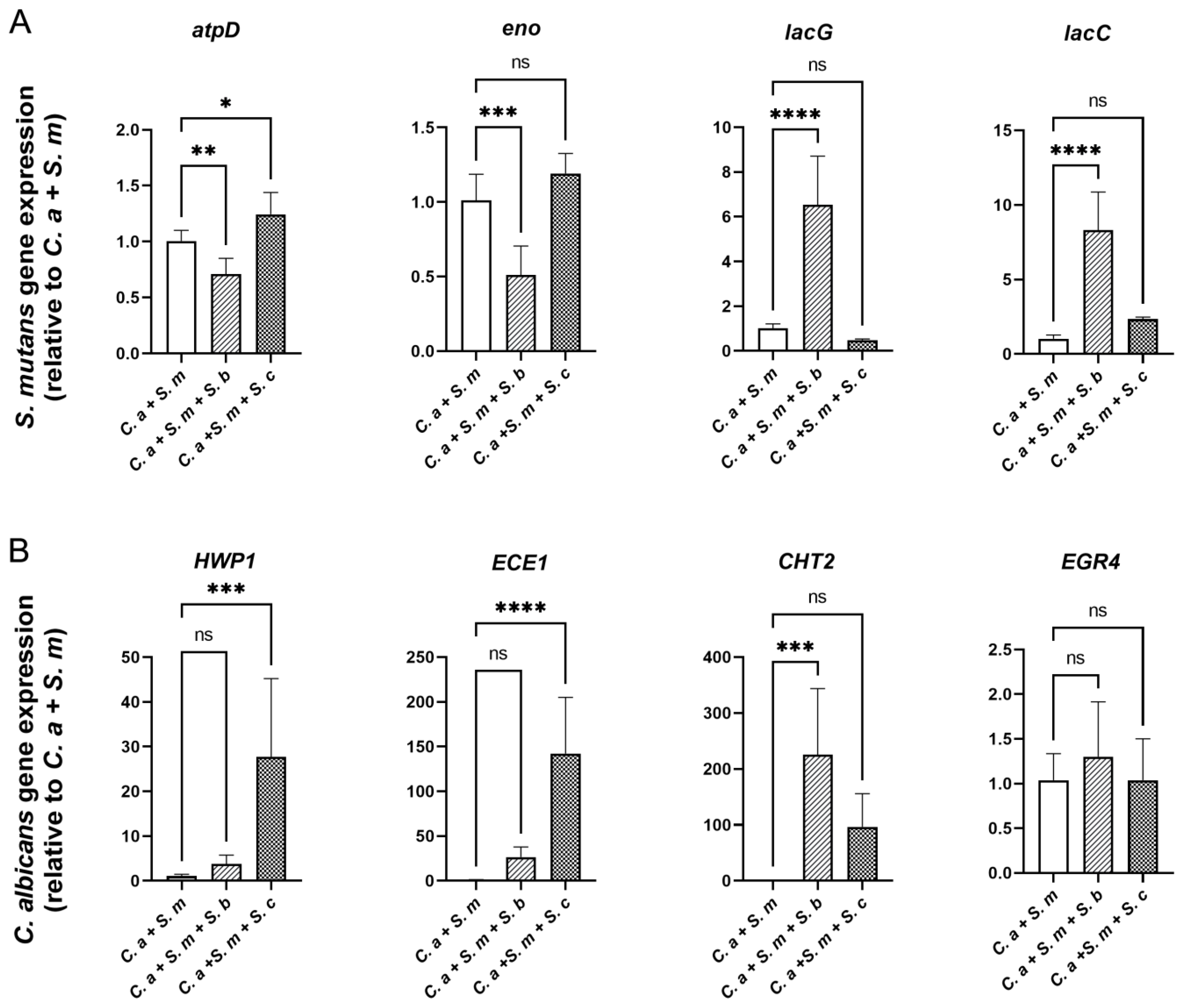 Pharmaceutics 16 00215 g006