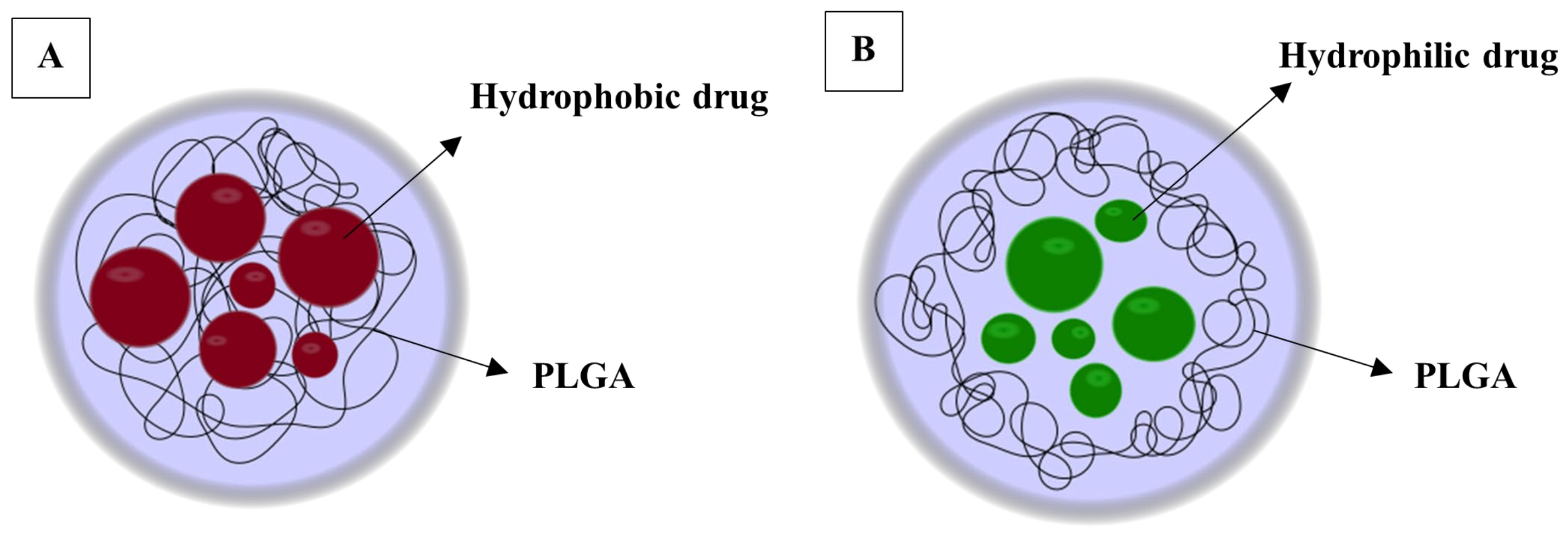 Pharmaceutics 16 00216 g004