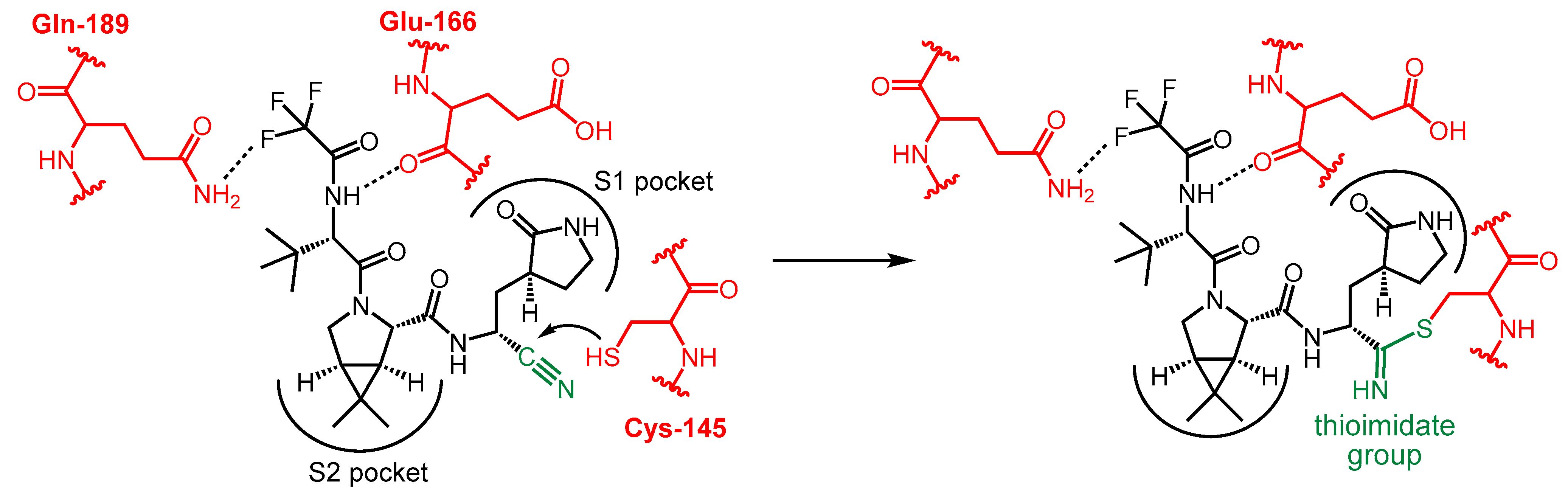 Pharmaceutics 16 00217 sch002