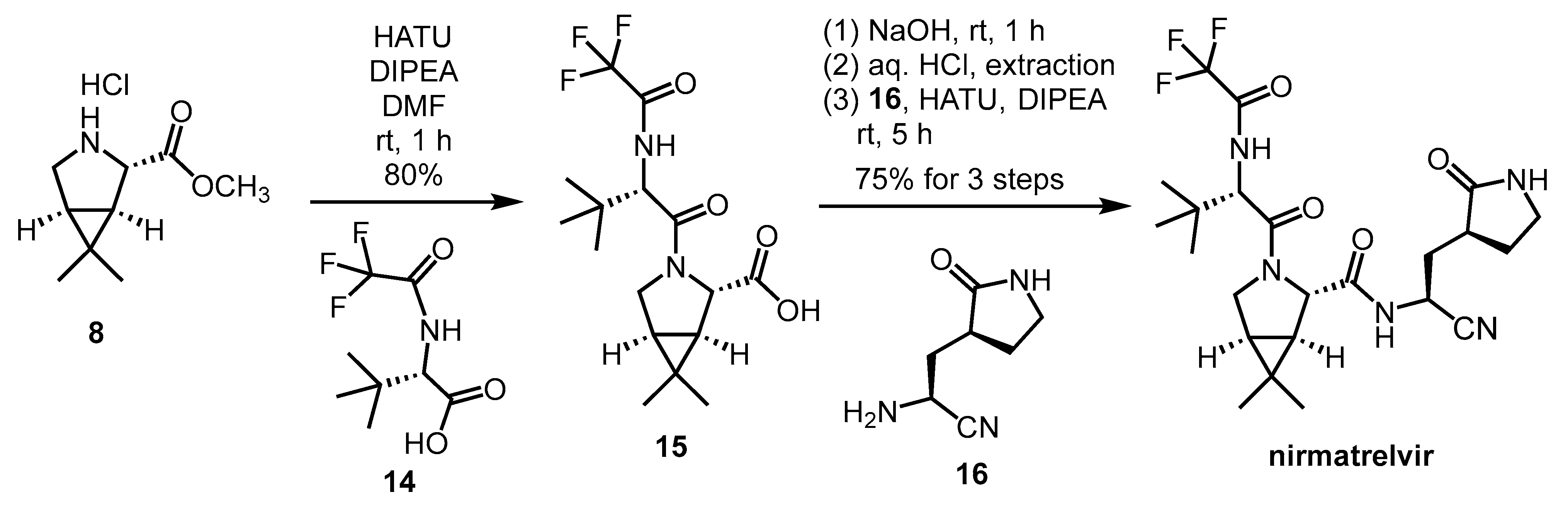 Pharmaceutics 16 00217 sch004