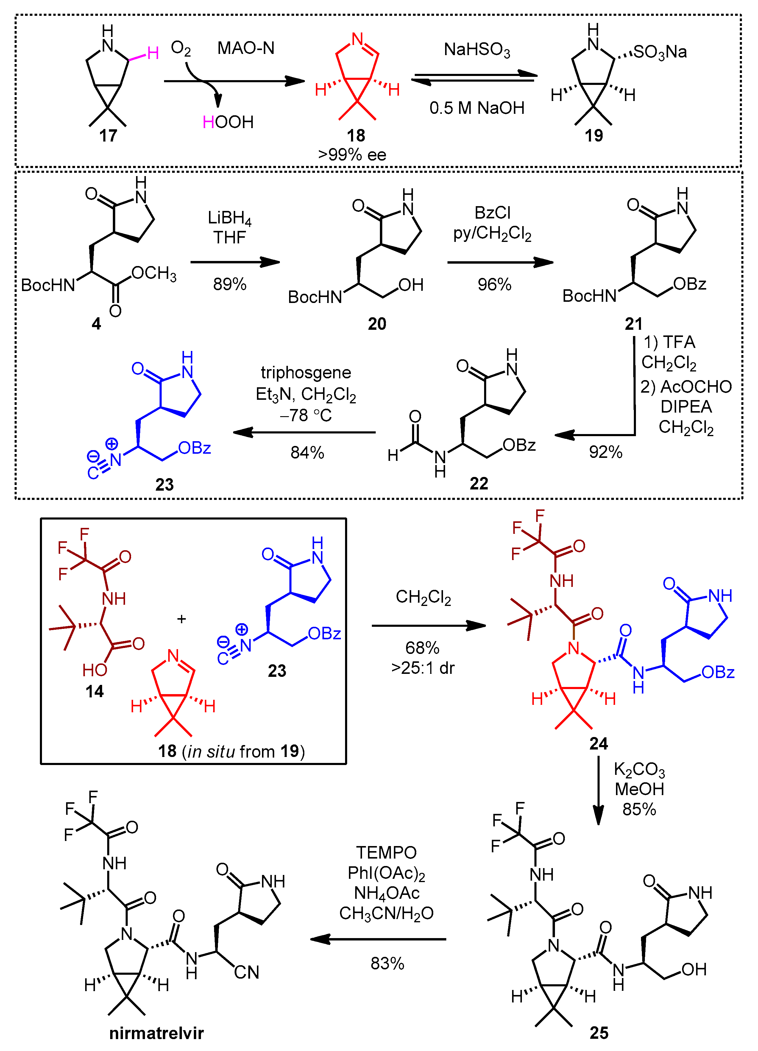Pharmaceutics 16 00217 sch005