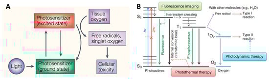 Pharmaceutics 16 00218 g001