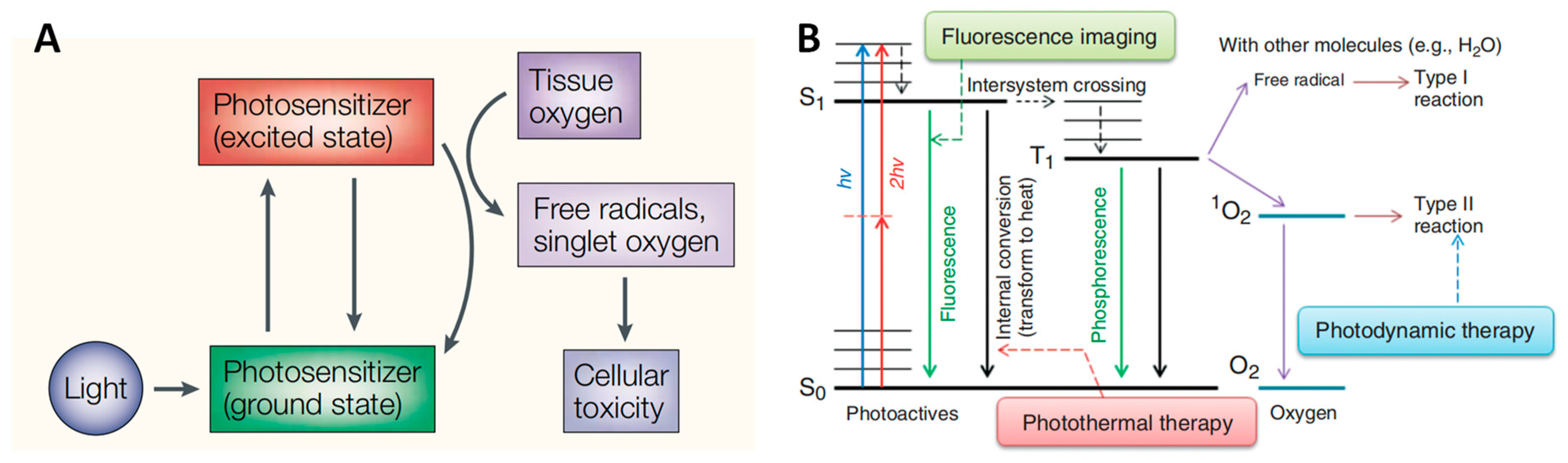 Pharmaceutics 16 00218 g001 Pharmaceutics 16 00218 g001