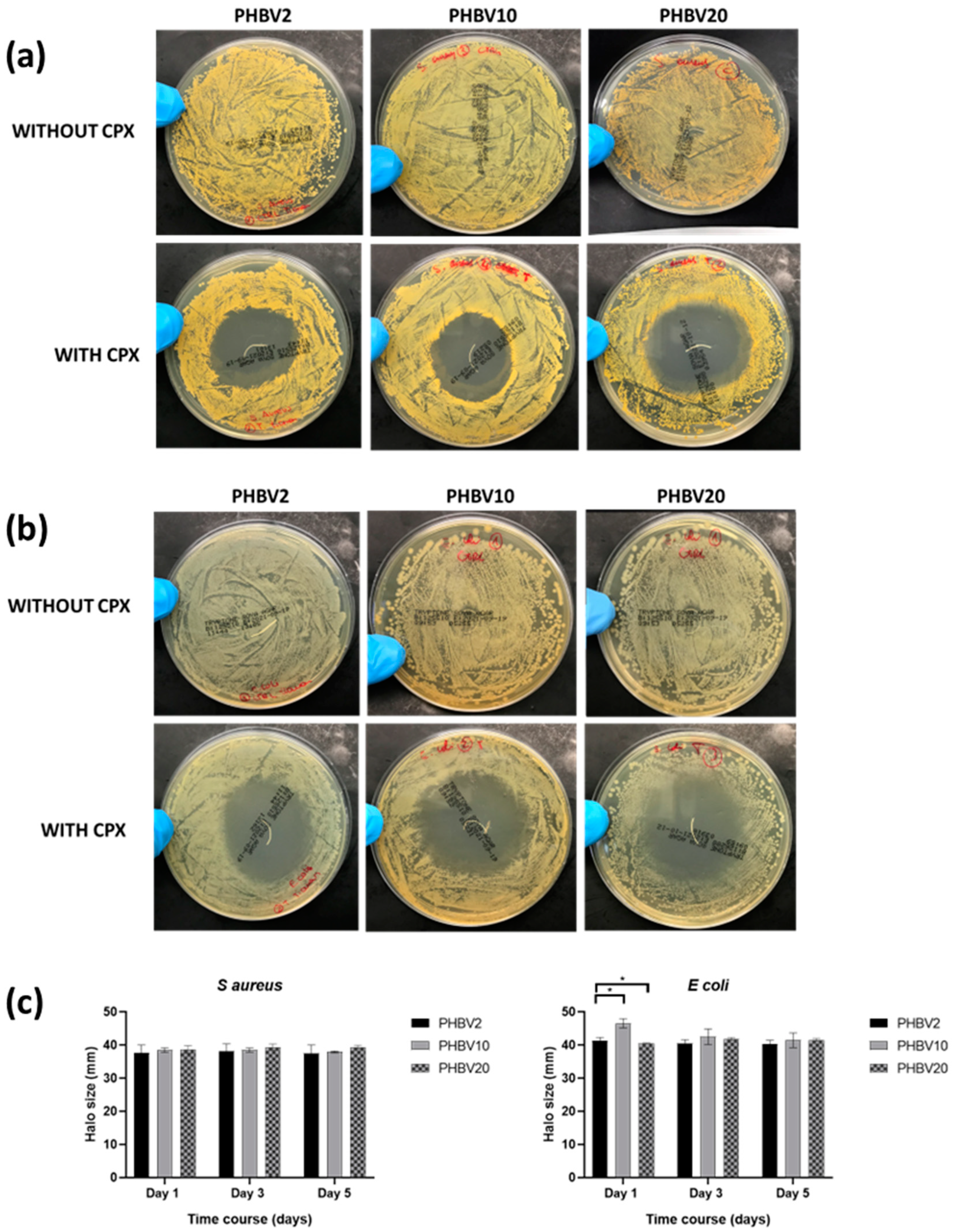 Pharmaceutics 16 00220 g006