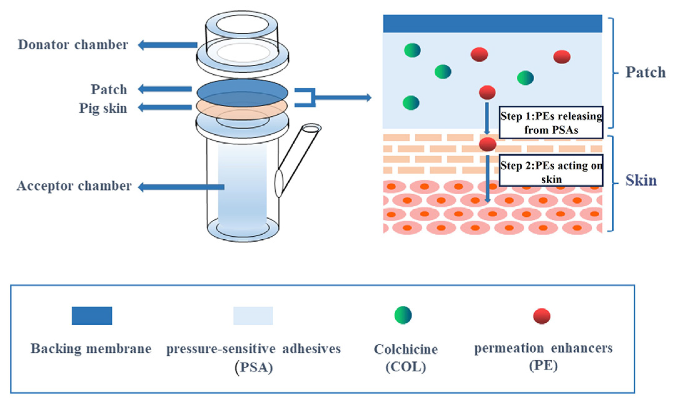 Pharmaceutics 16 00222 g004