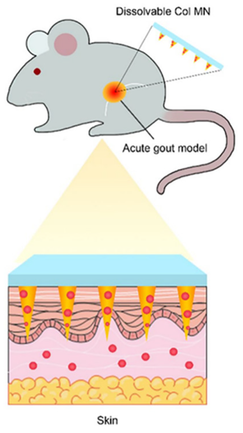 Pharmaceutics 16 00222 g005