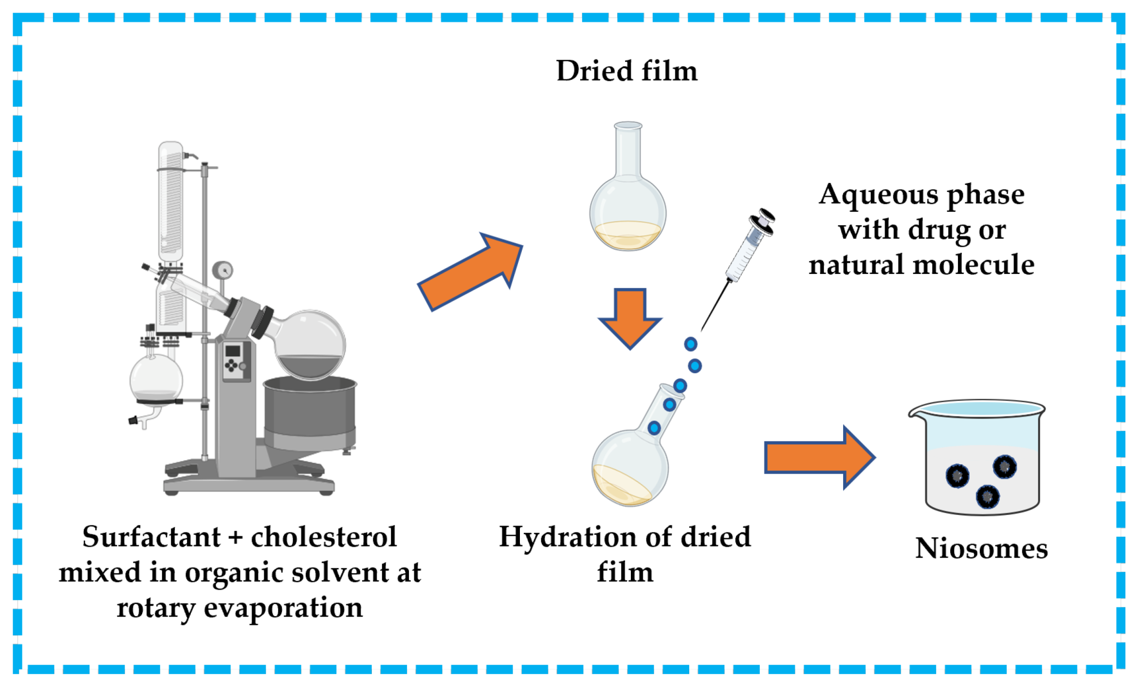 Pharmaceutics 16 00223 g011