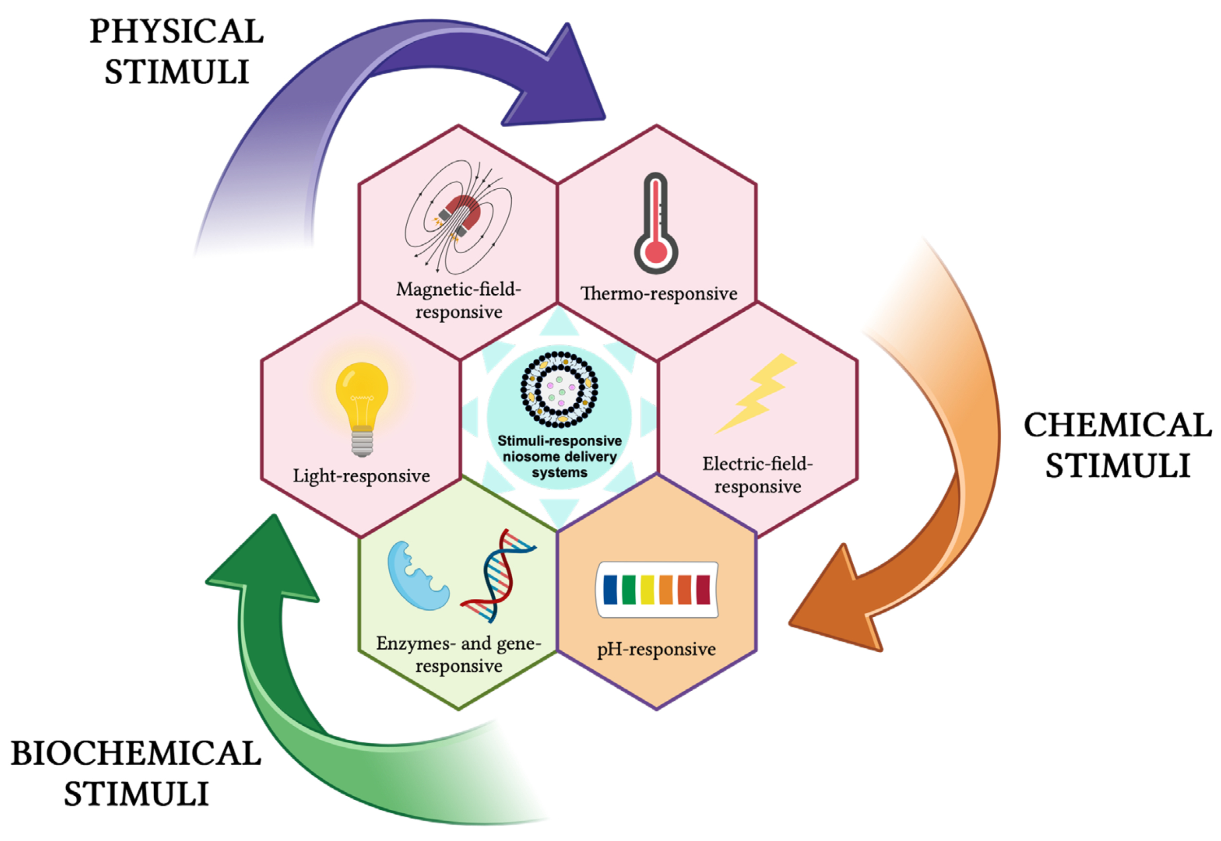 Pharmaceutics 16 00223 g013